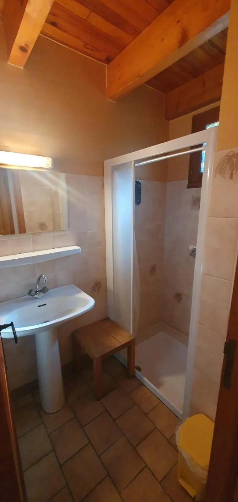 Shower in Hôtel des Bateliers