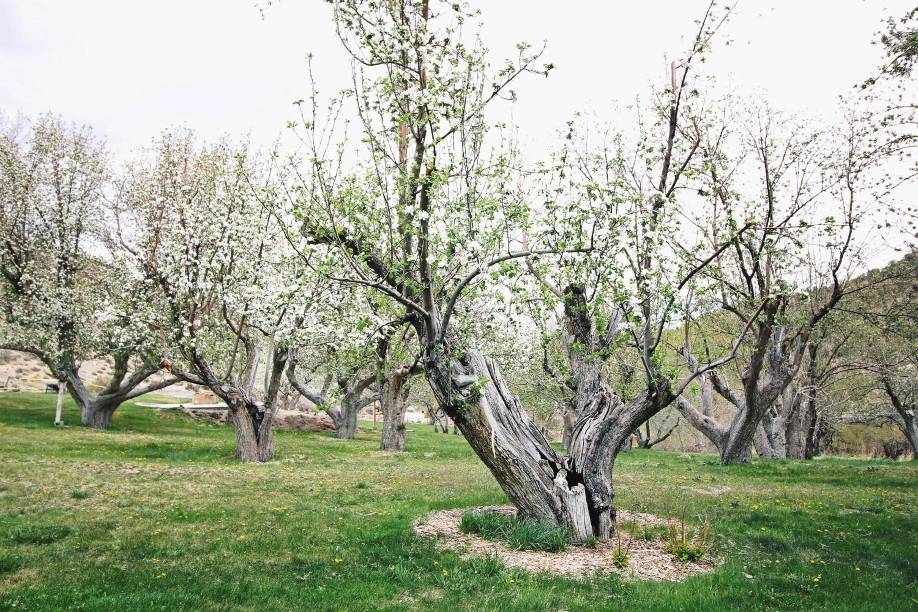 Hidden Canyon Retreat