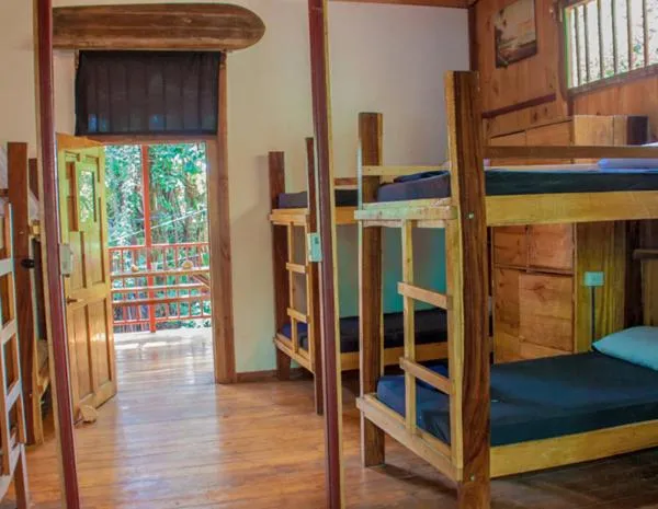 bunk bed, Bed in Burnt Toast Surfcamp