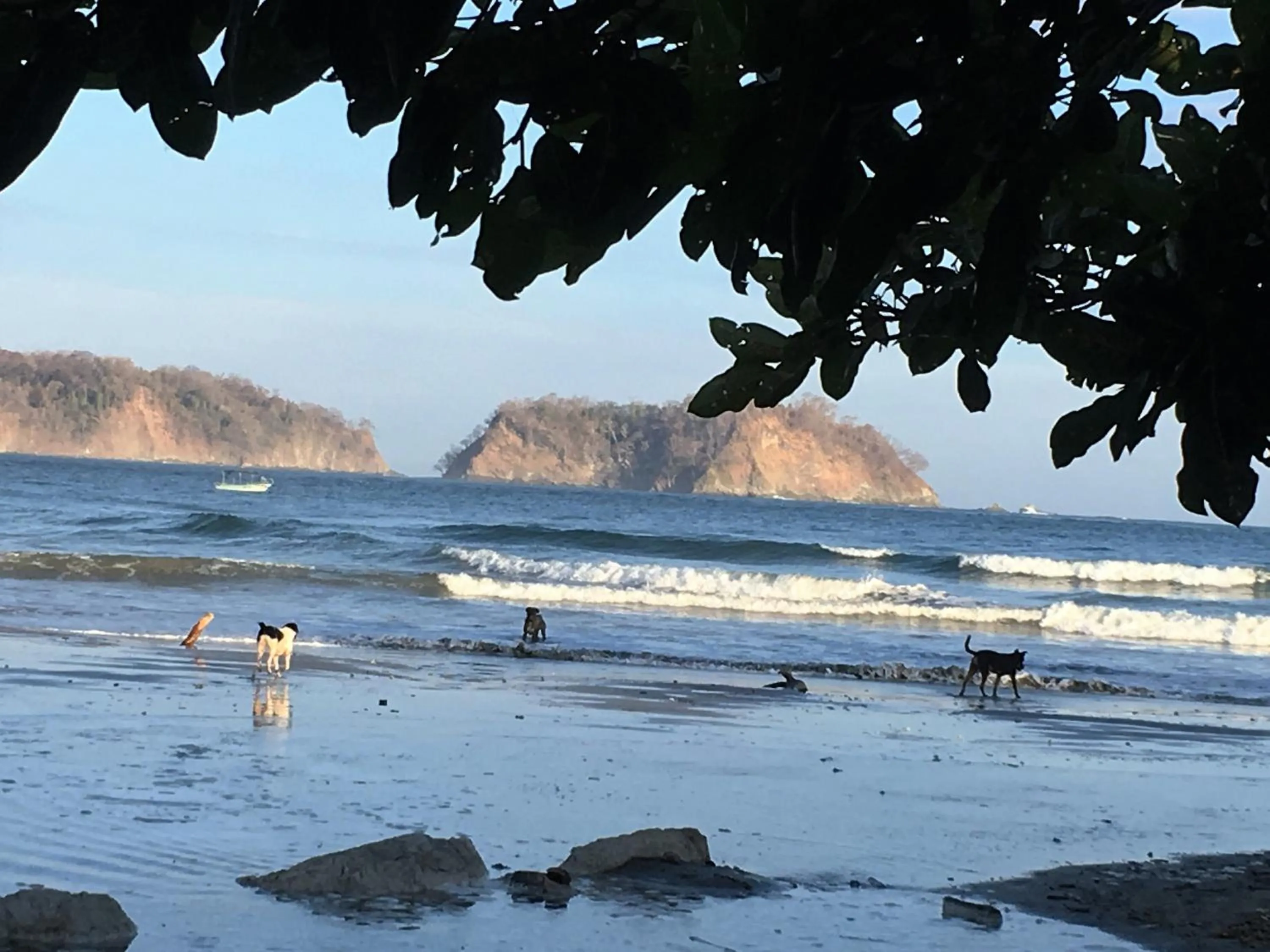 Beach in Las Perlitas Rentals Playa Samara