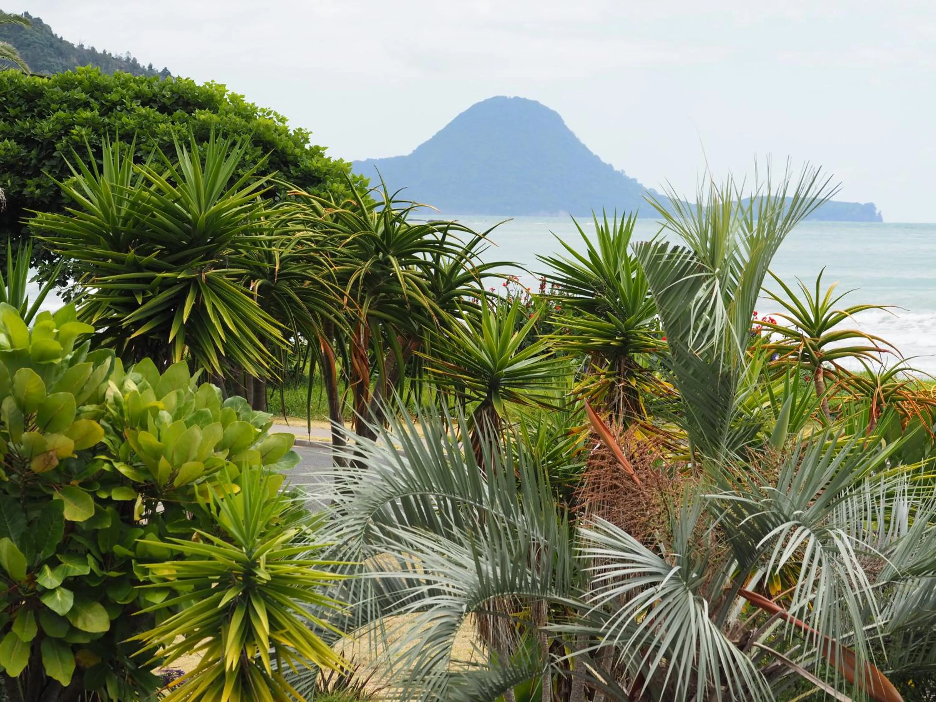 One-Bedroom Apartment - single occupancy in Ocean View