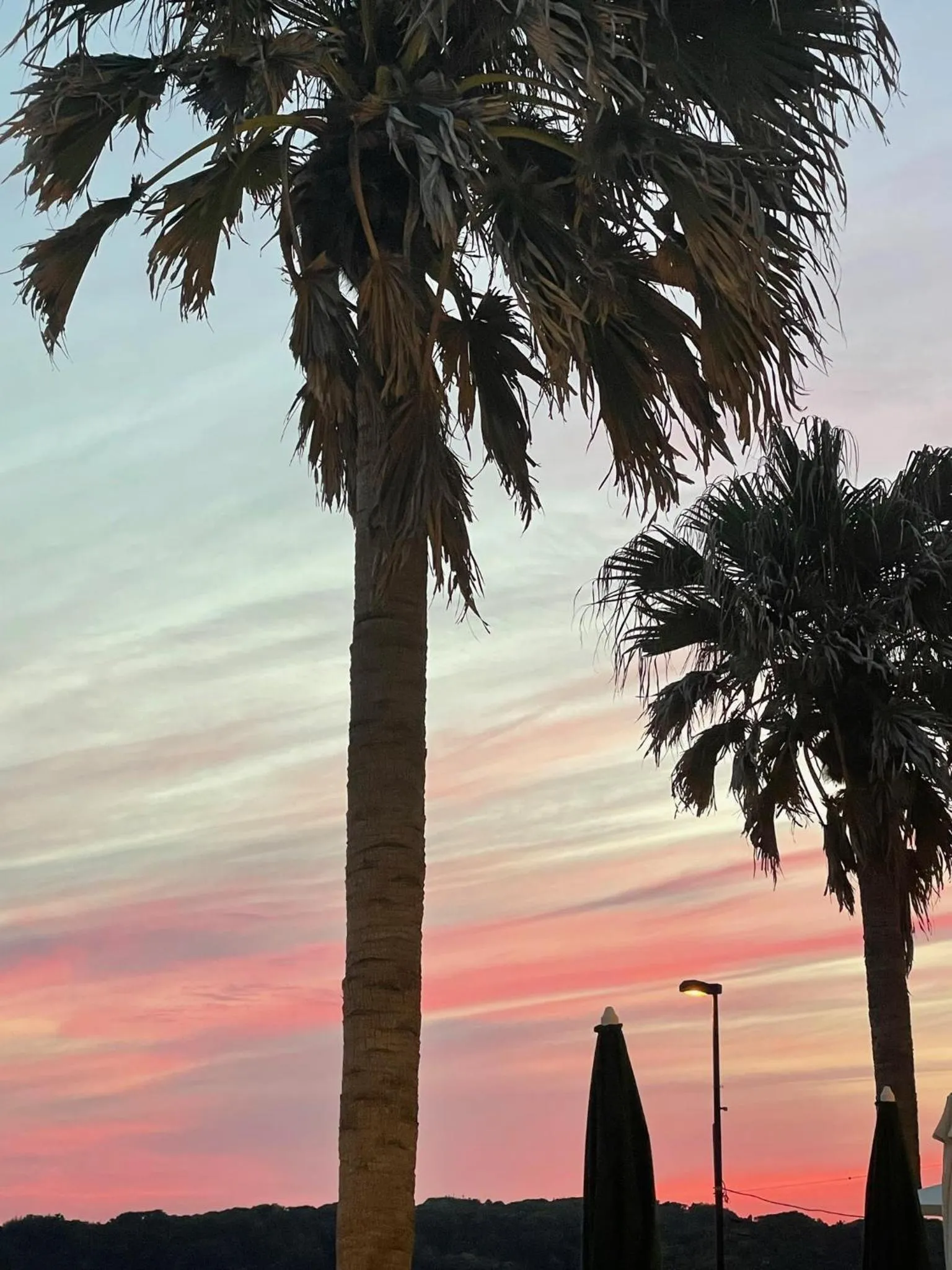 GOOD MORNING ZAIMOKUZA