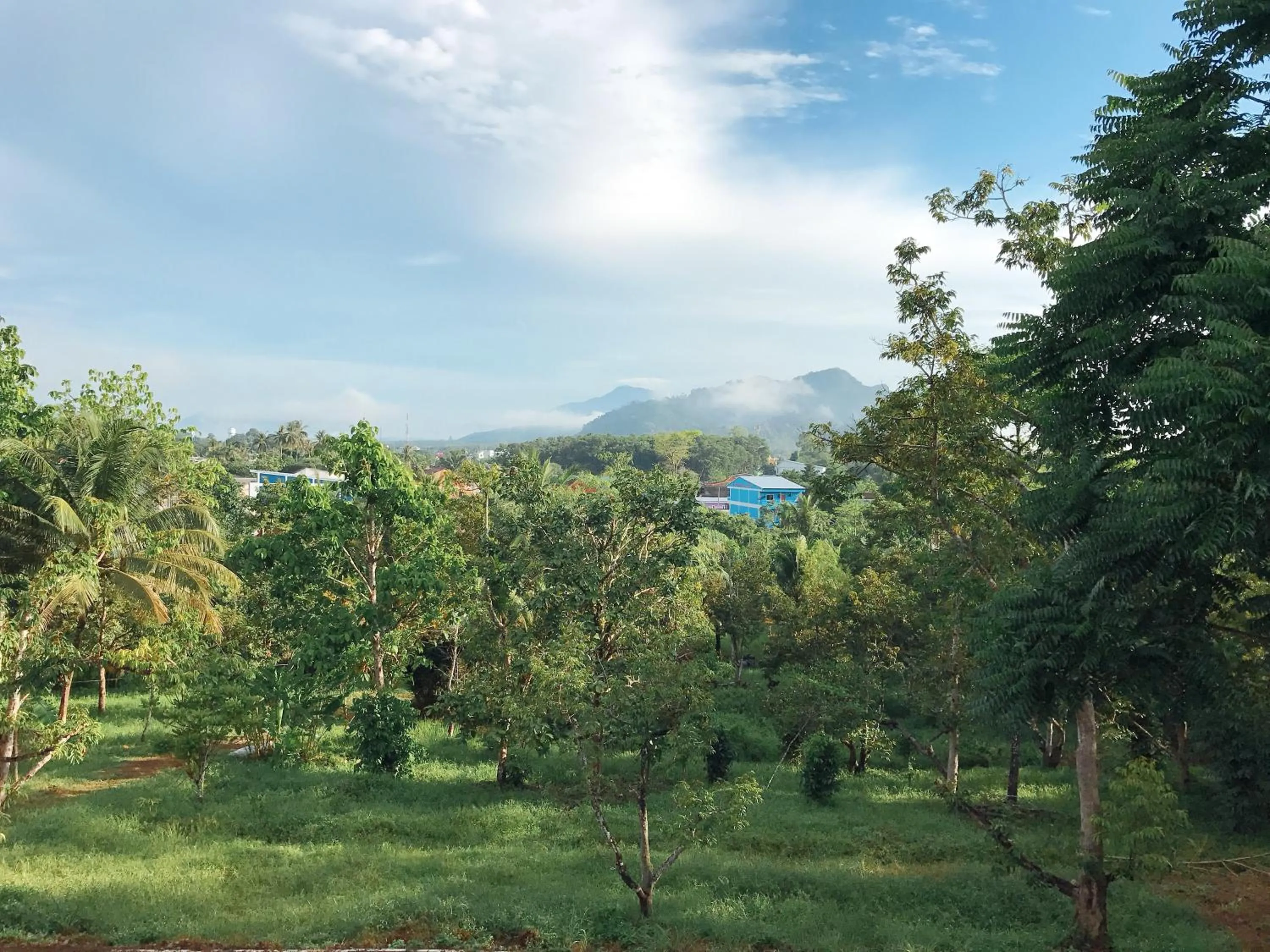 Mountain view in The Box House