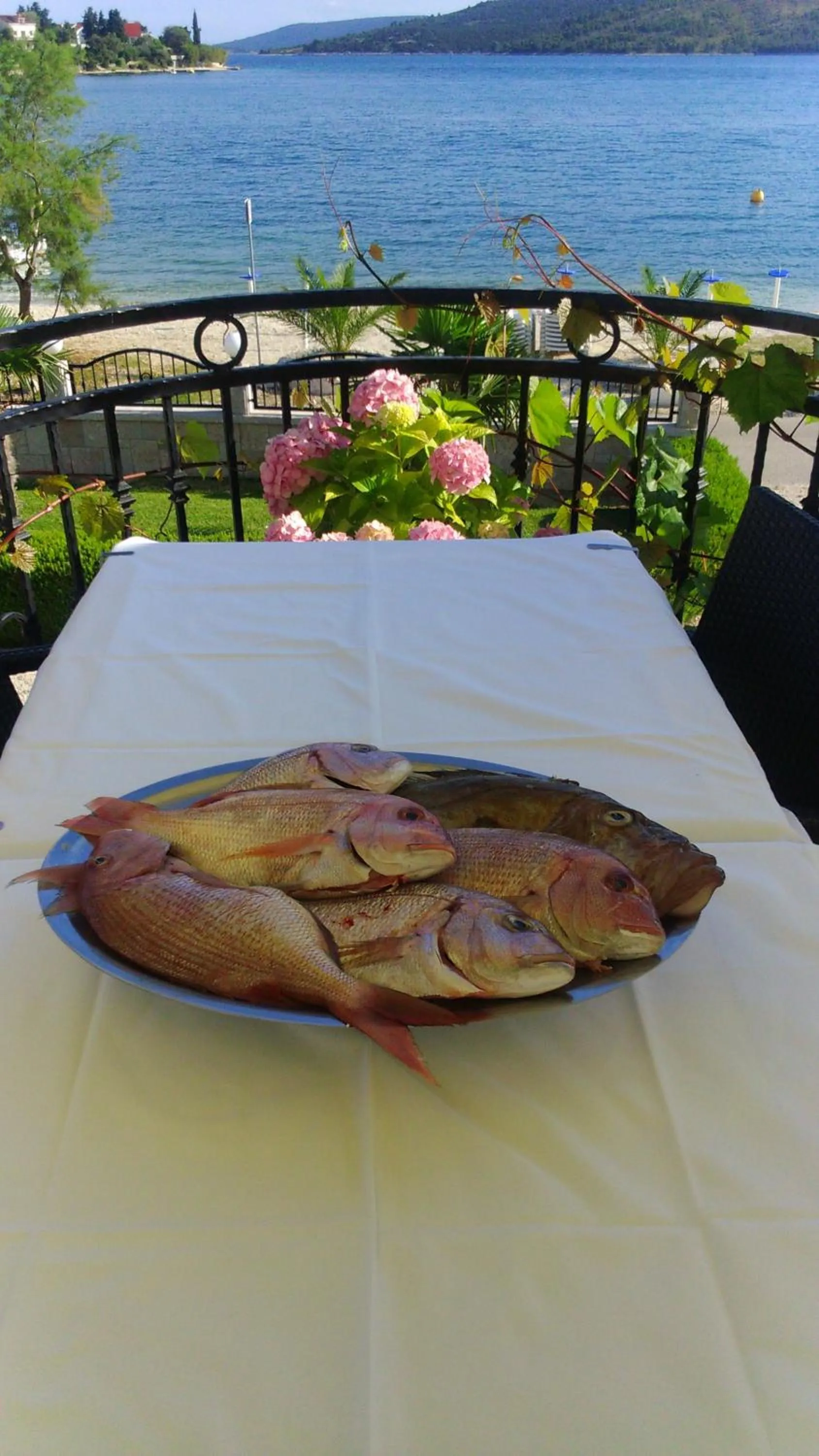 Restaurant/places to eat in Villa Mediterana