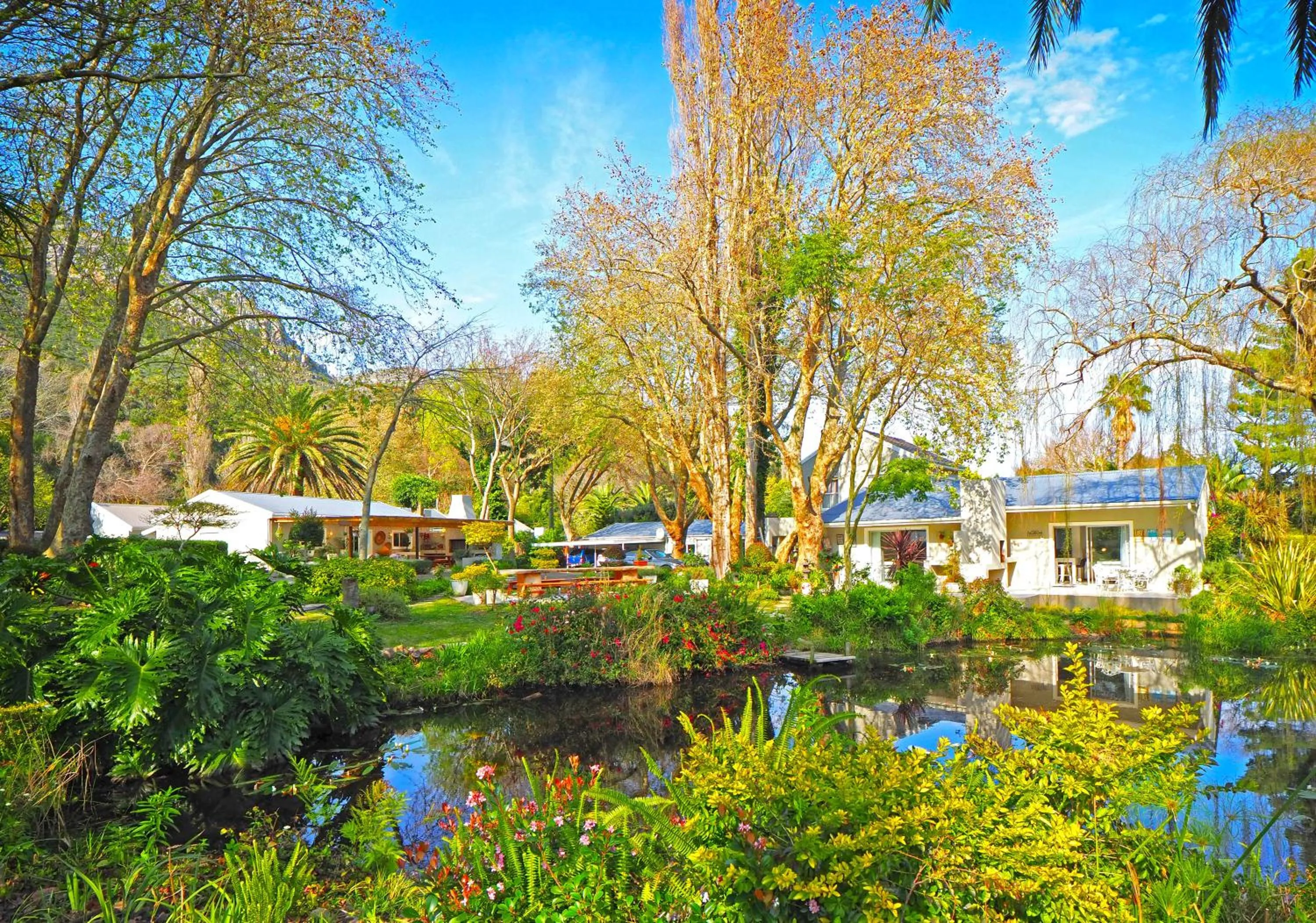 Garden view in Waterland Lodge