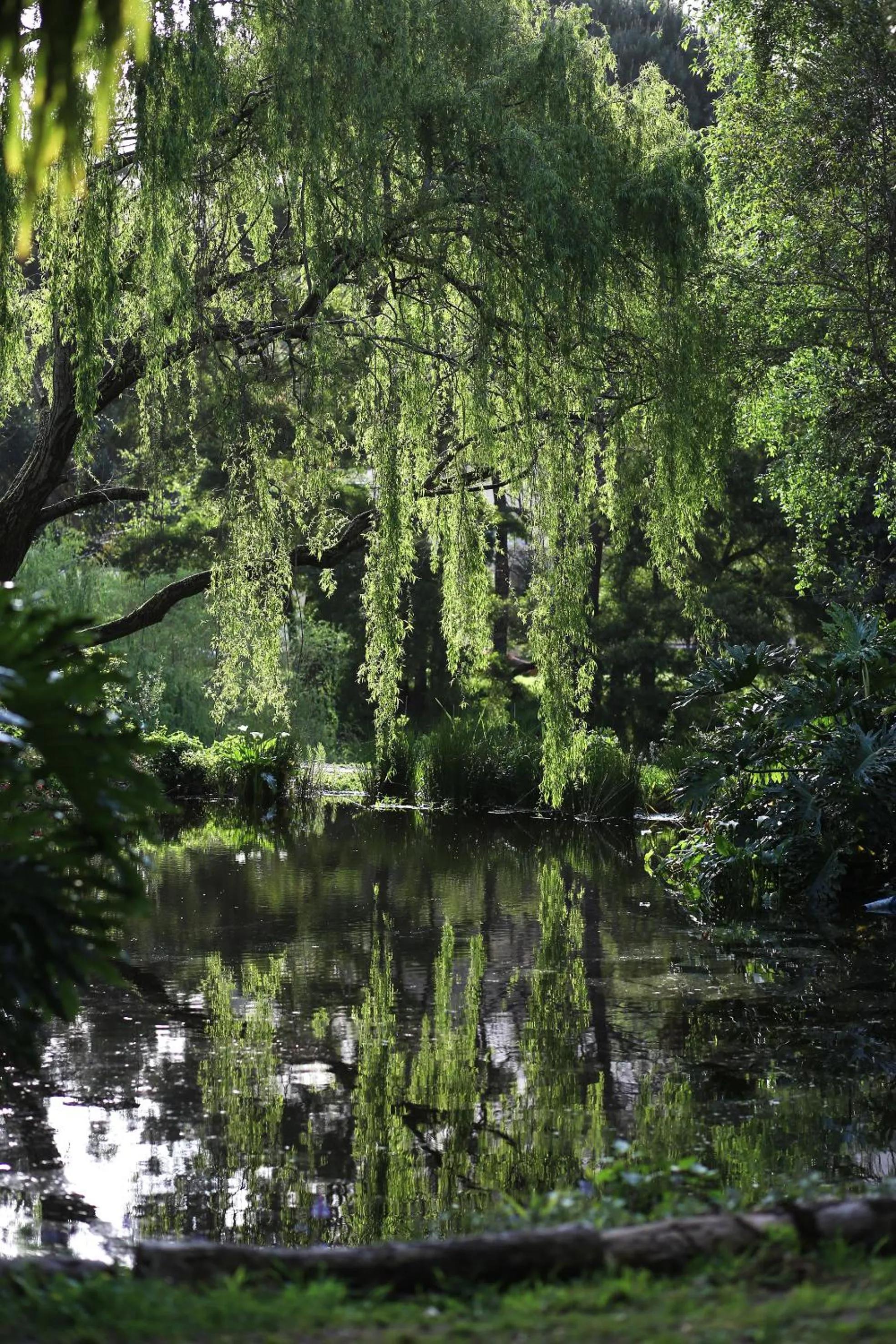 Garden in Waterland Lodge