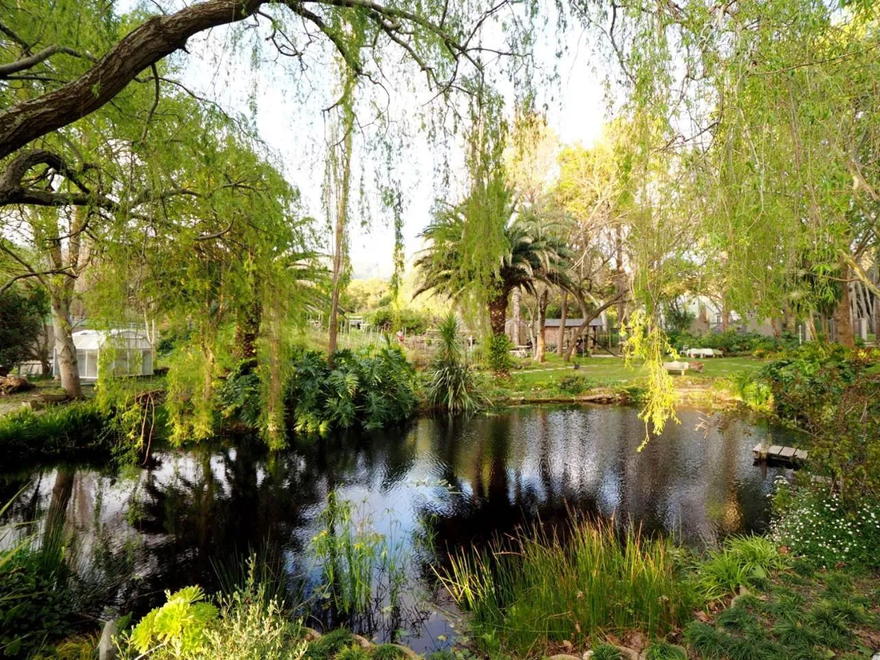 Garden view in Waterland Lodge