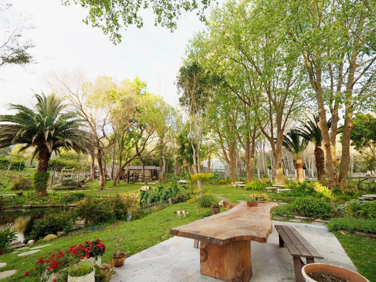 Garden view in Waterland Lodge