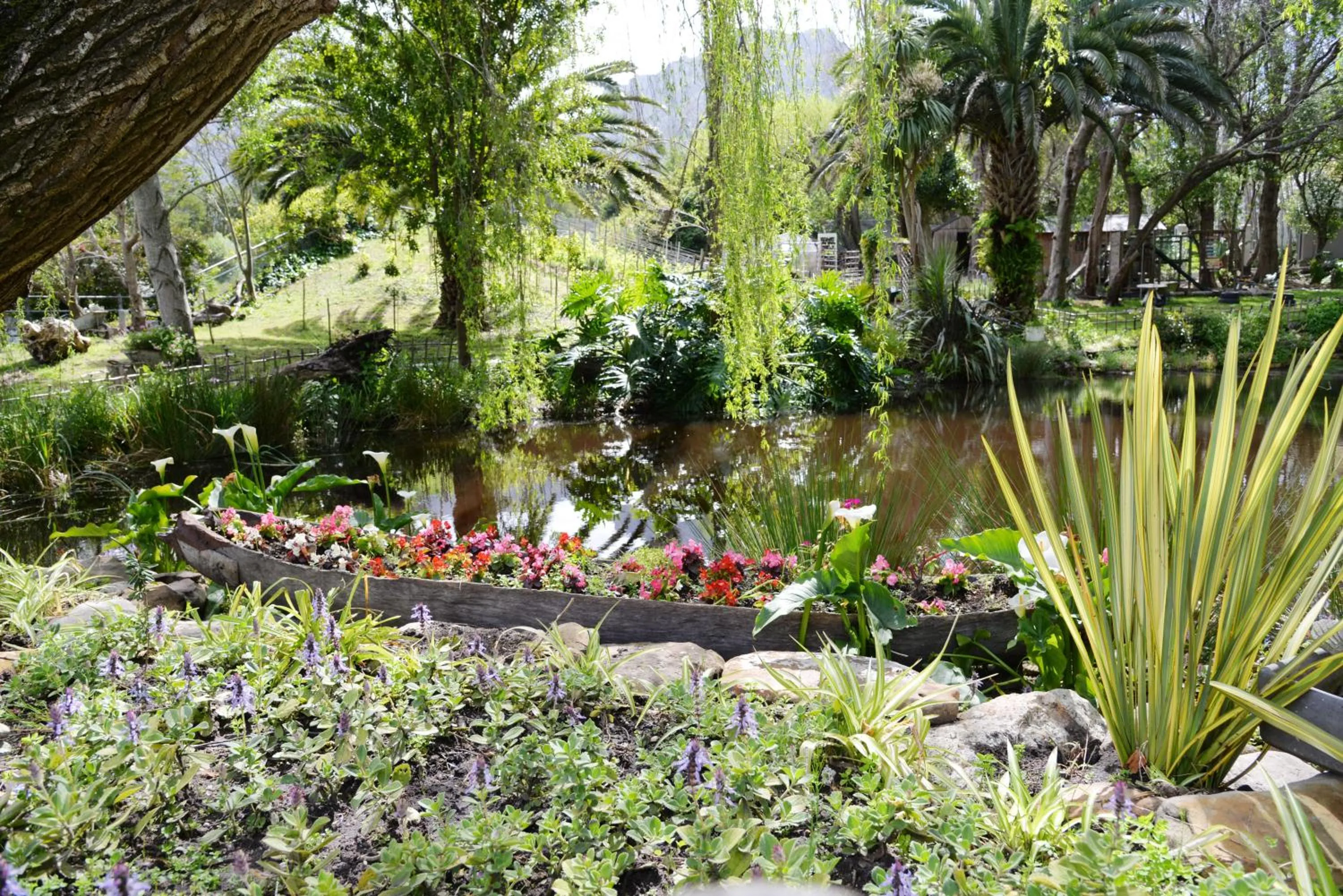 Natural landscape in Waterland Lodge