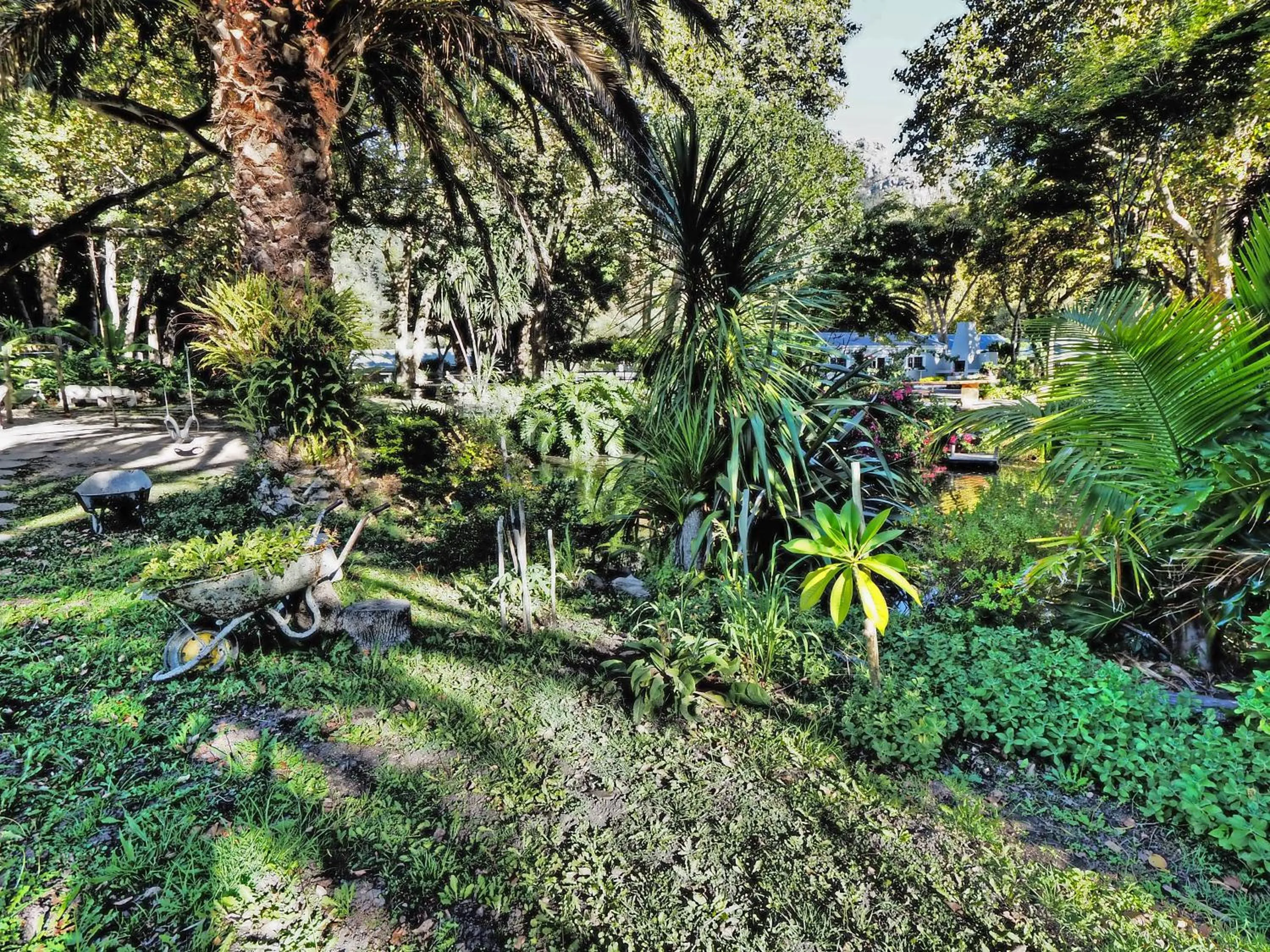 Natural landscape in Waterland Lodge