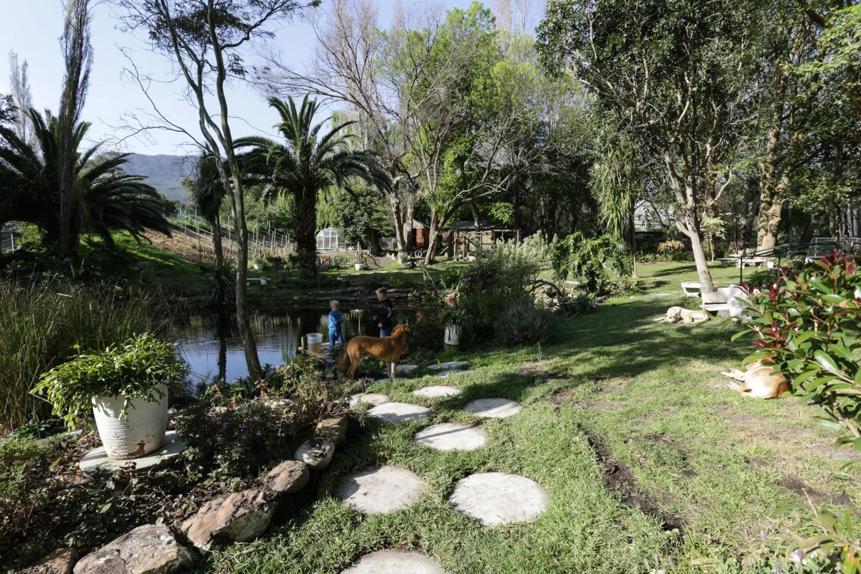 Garden in Waterland Lodge
