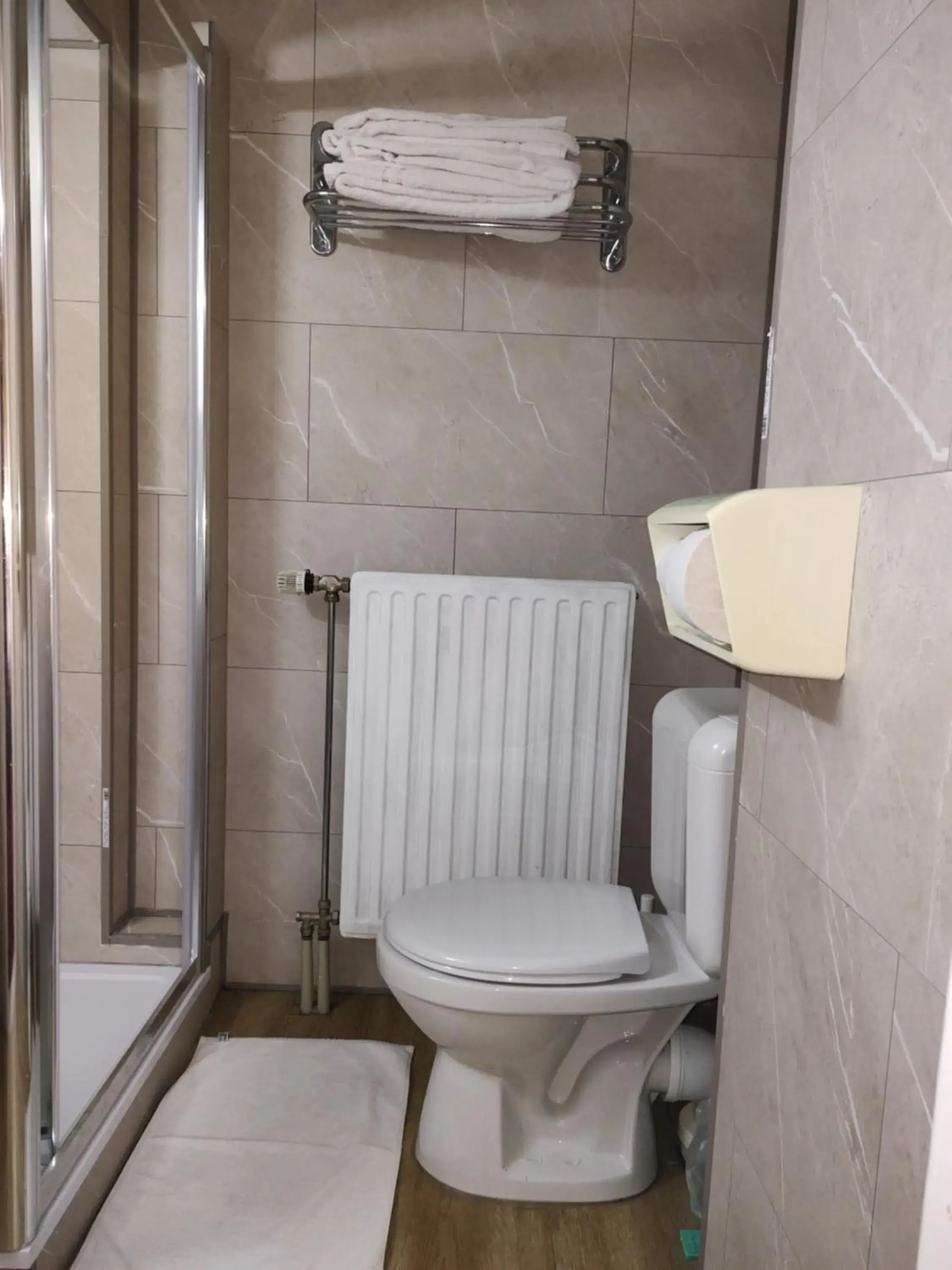 Single Room in Hotel Evergreen Single Room in Hotel Evergreen