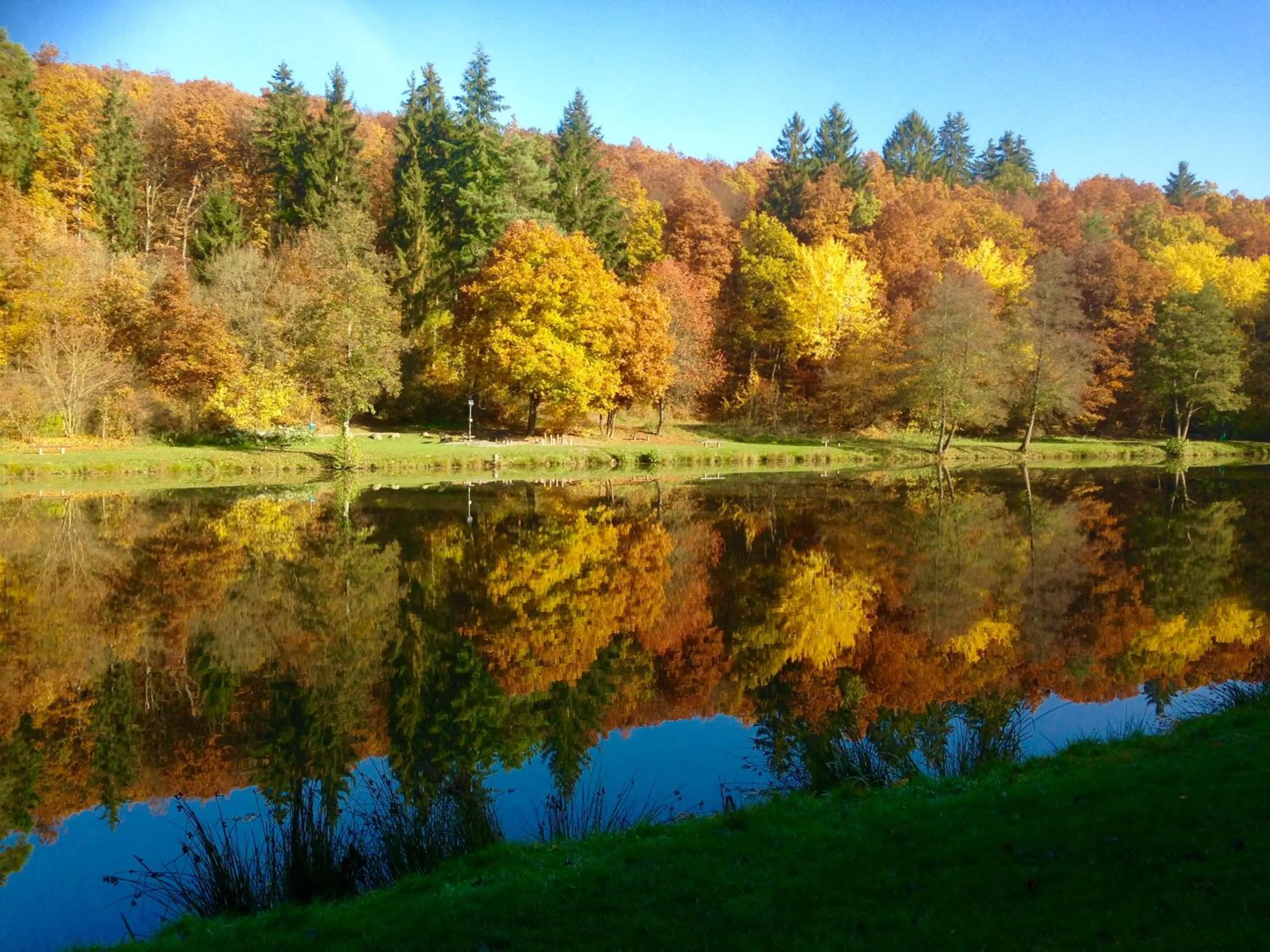 Natural landscape in Gästehaus Köhler
