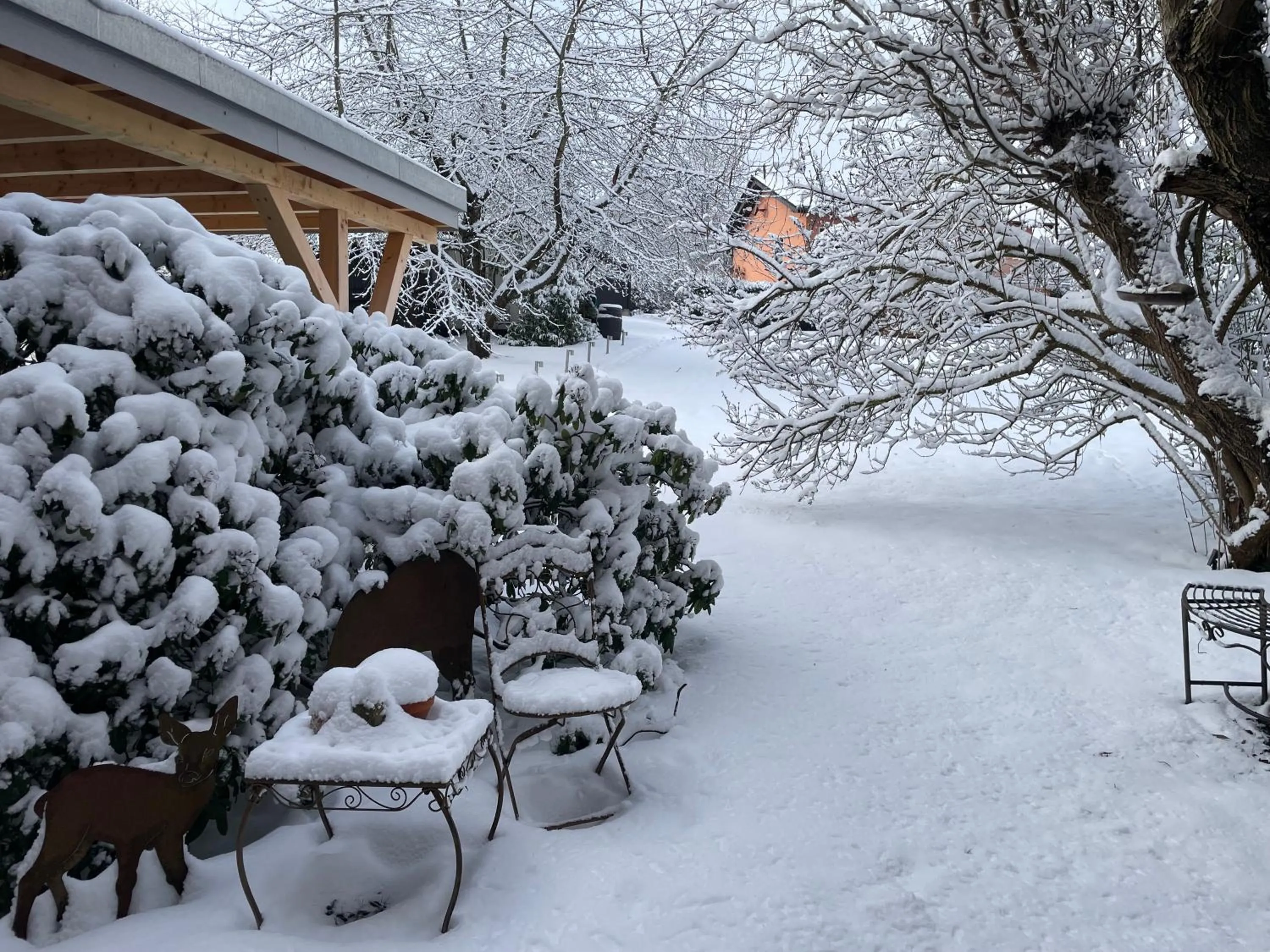 View (from property/room) in Gästehaus Köhler