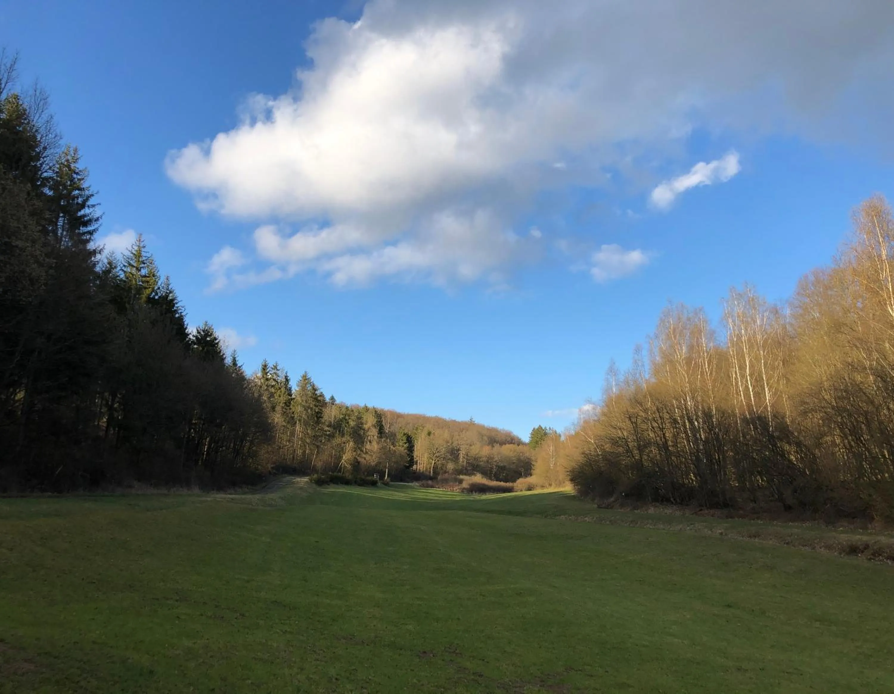 Natural landscape in Gästehaus Köhler