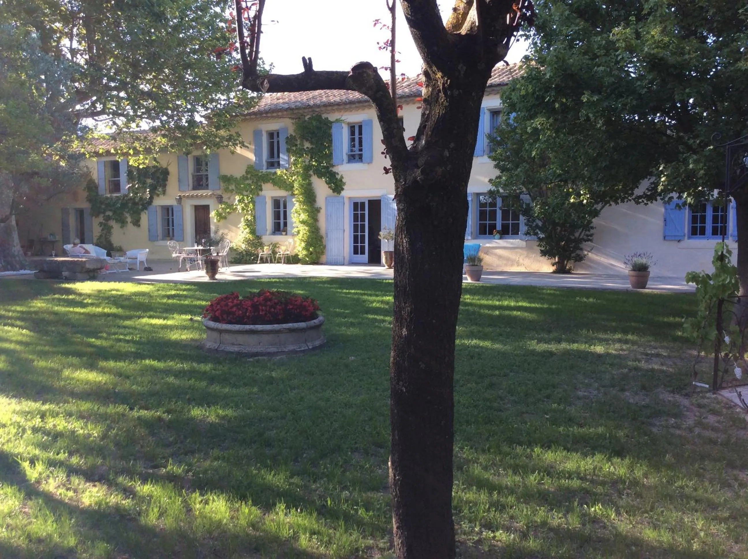 Garden view in Mas Li Doumenge