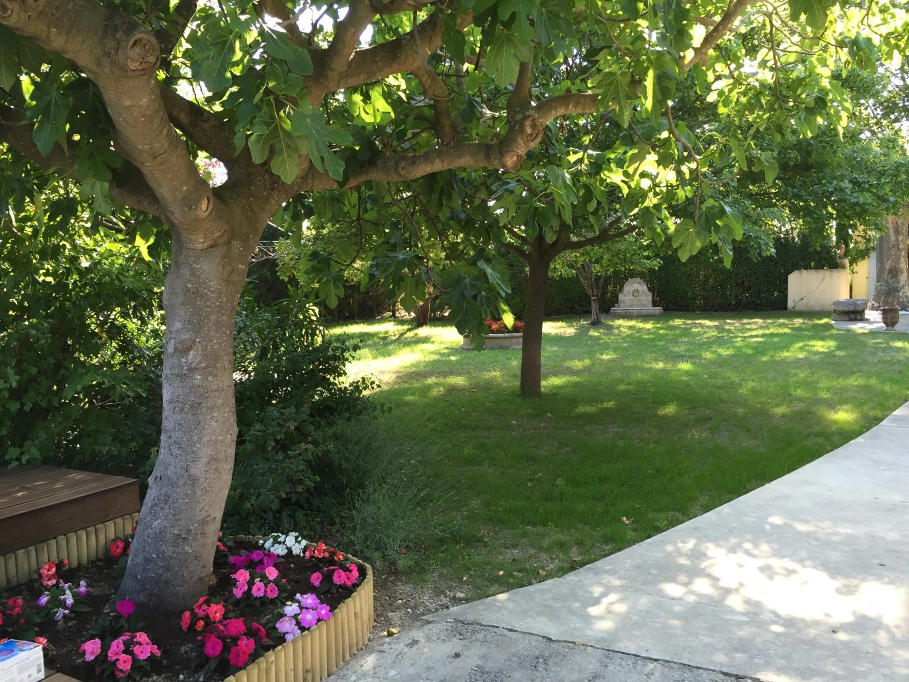 Garden in Mas Li Doumenge