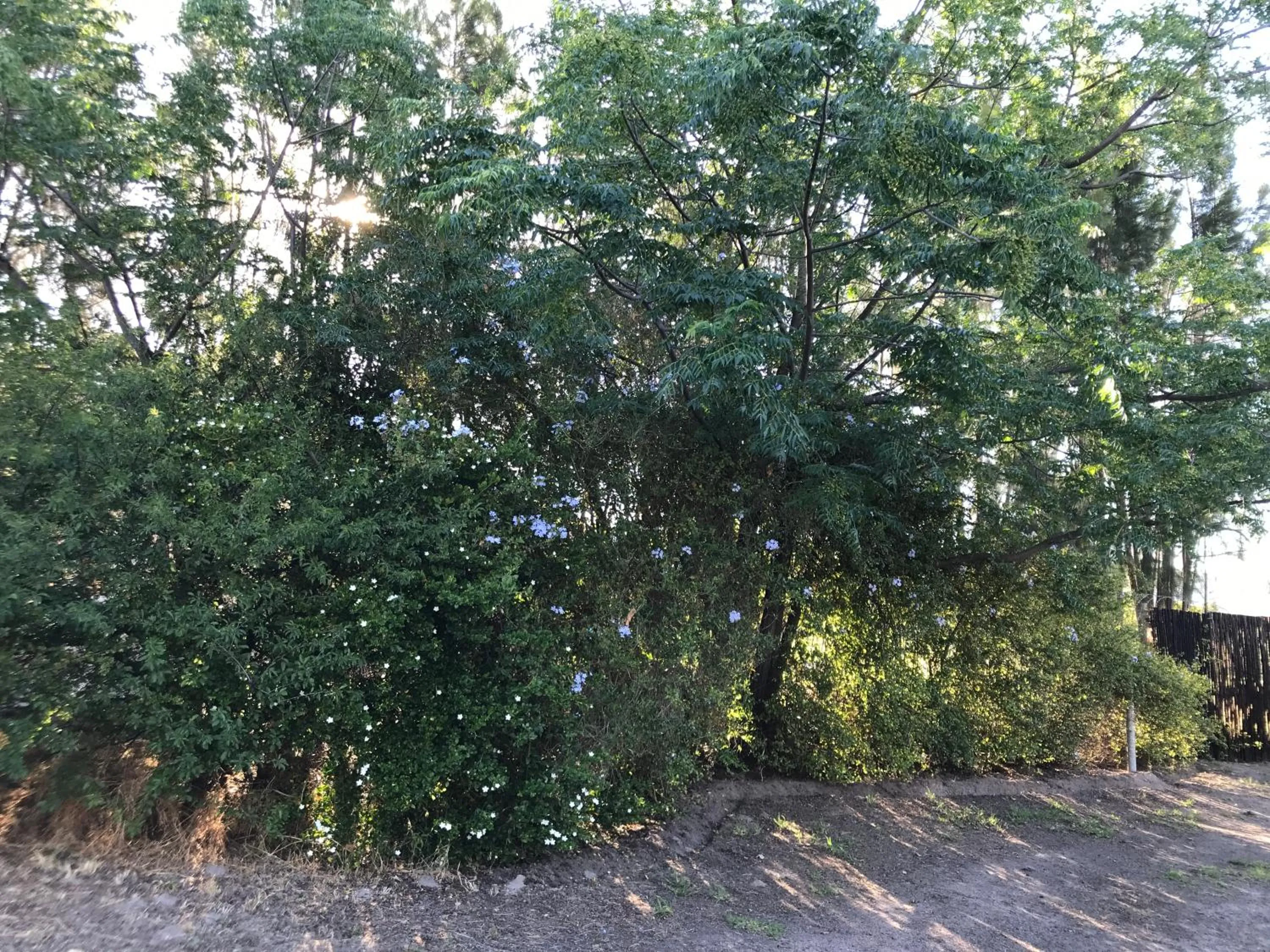 Garden in Lauradale Accommodation