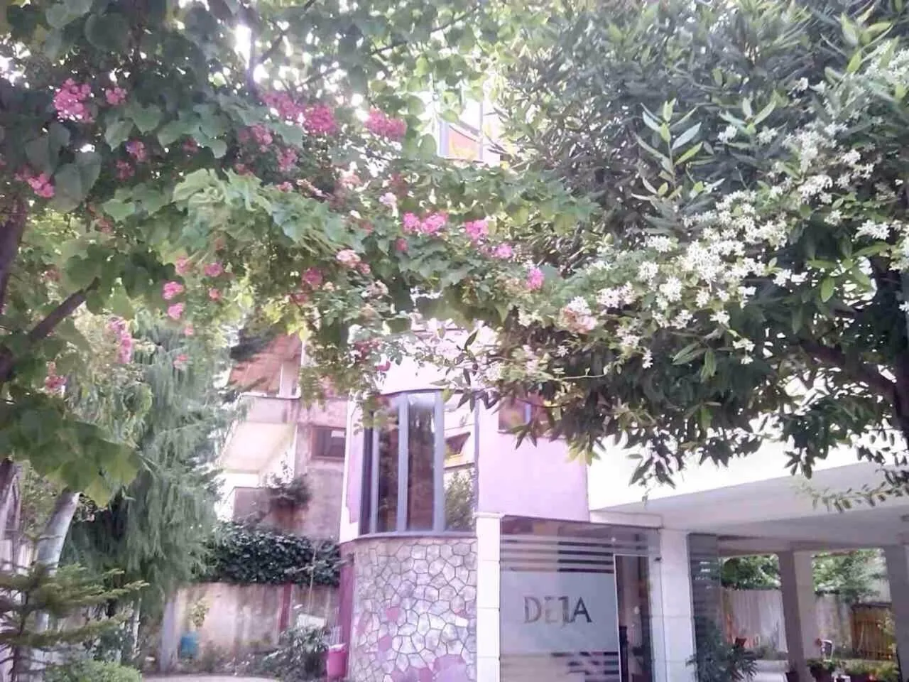 Hotel Deja