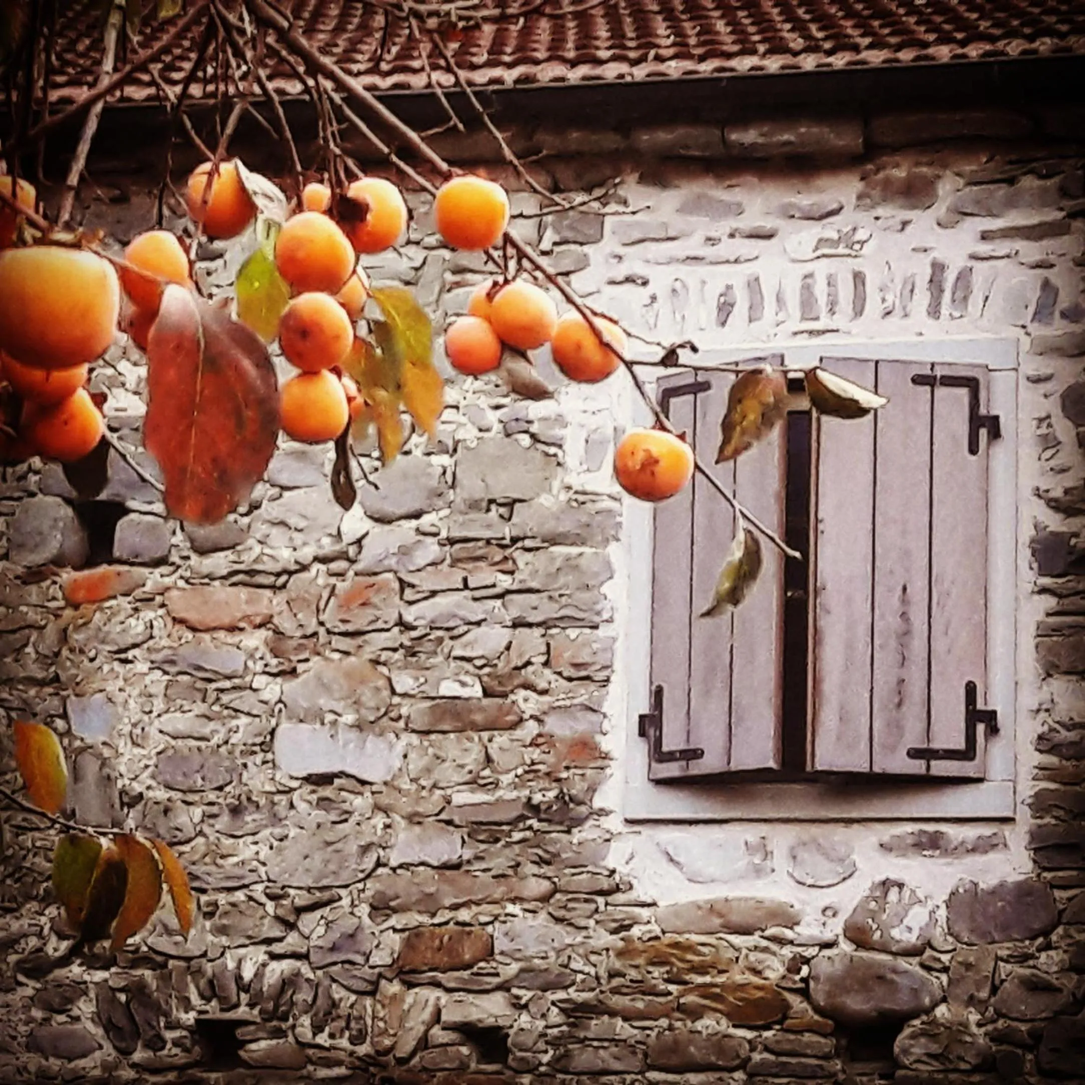 Property building in Ai Chiosi affittacamere