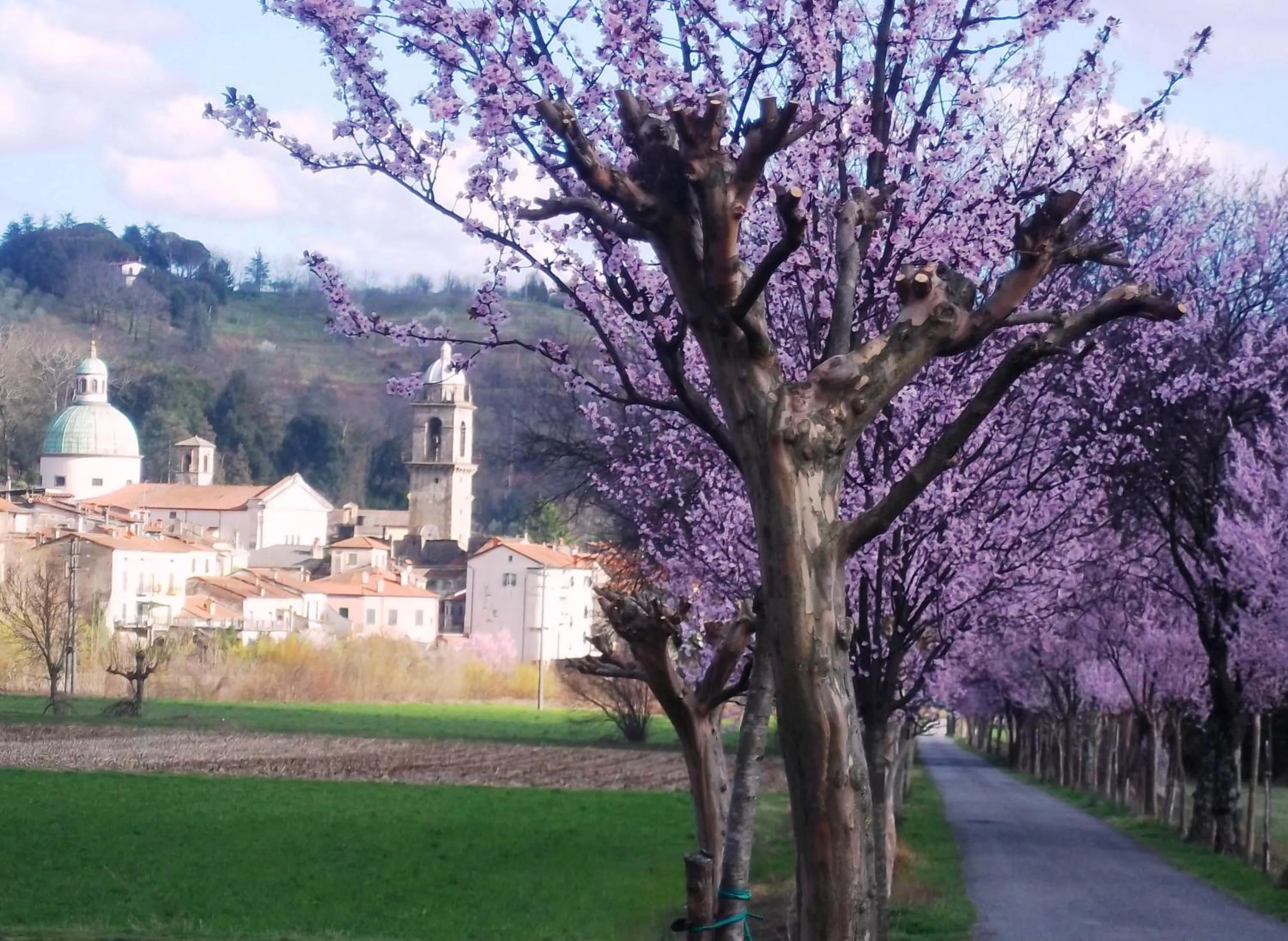 City view in Ai Chiosi affittacamere