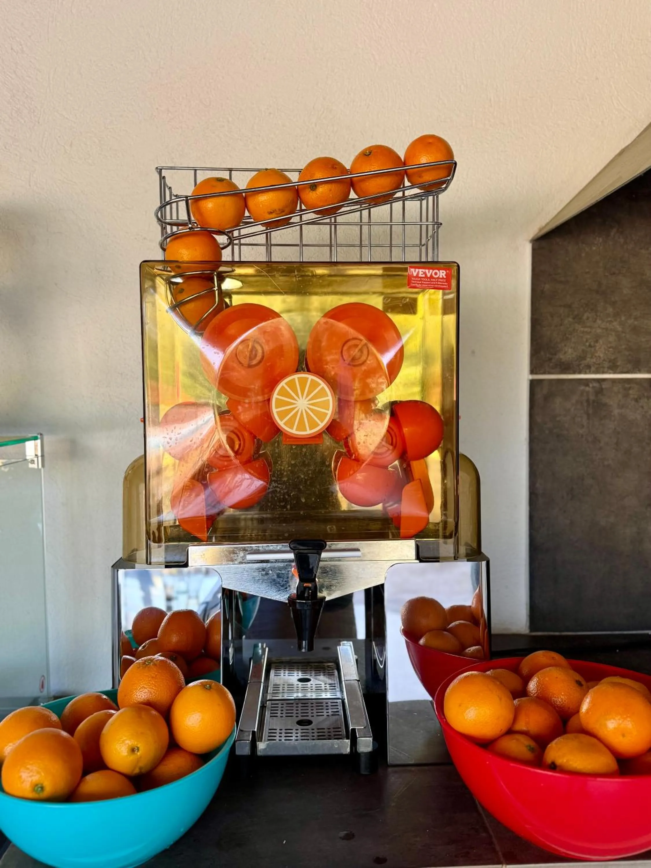 Food and drinks in CARPE DIEM Résidence Hôtelière