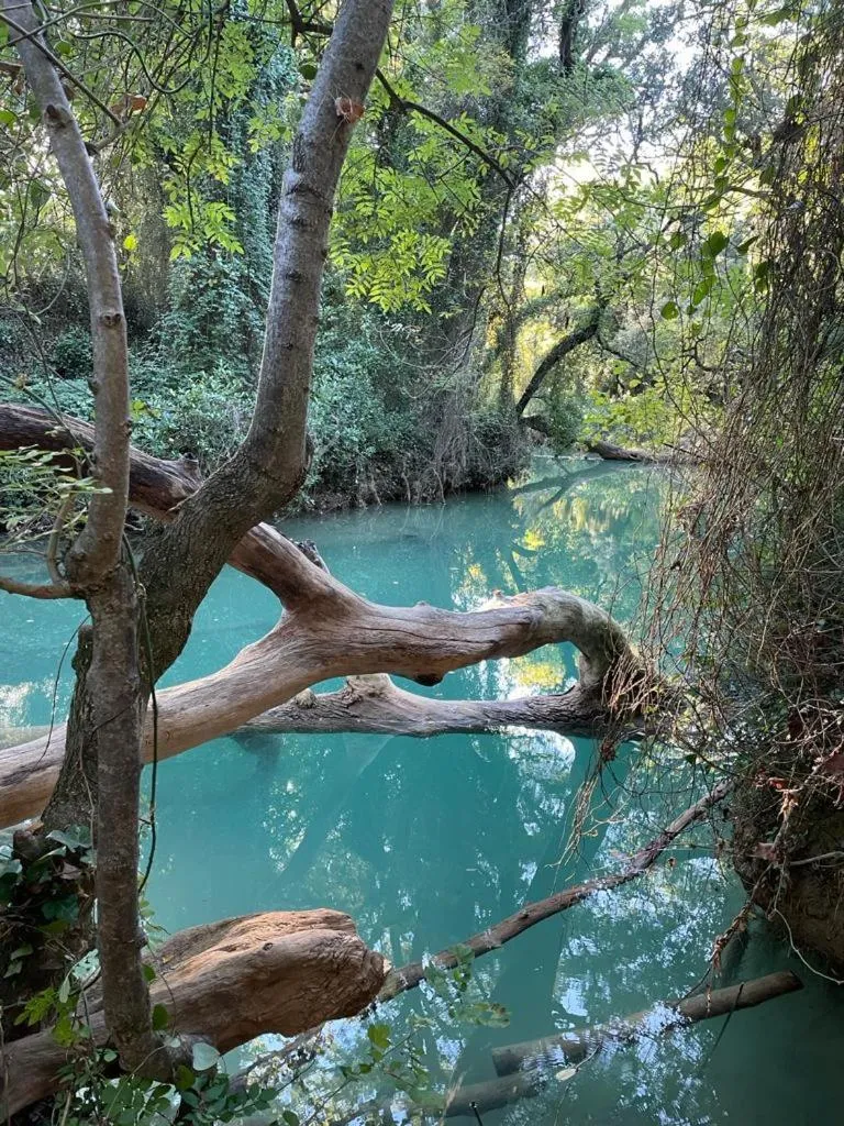 Nearby landmark in CARPE DIEM Résidence Hôtelière