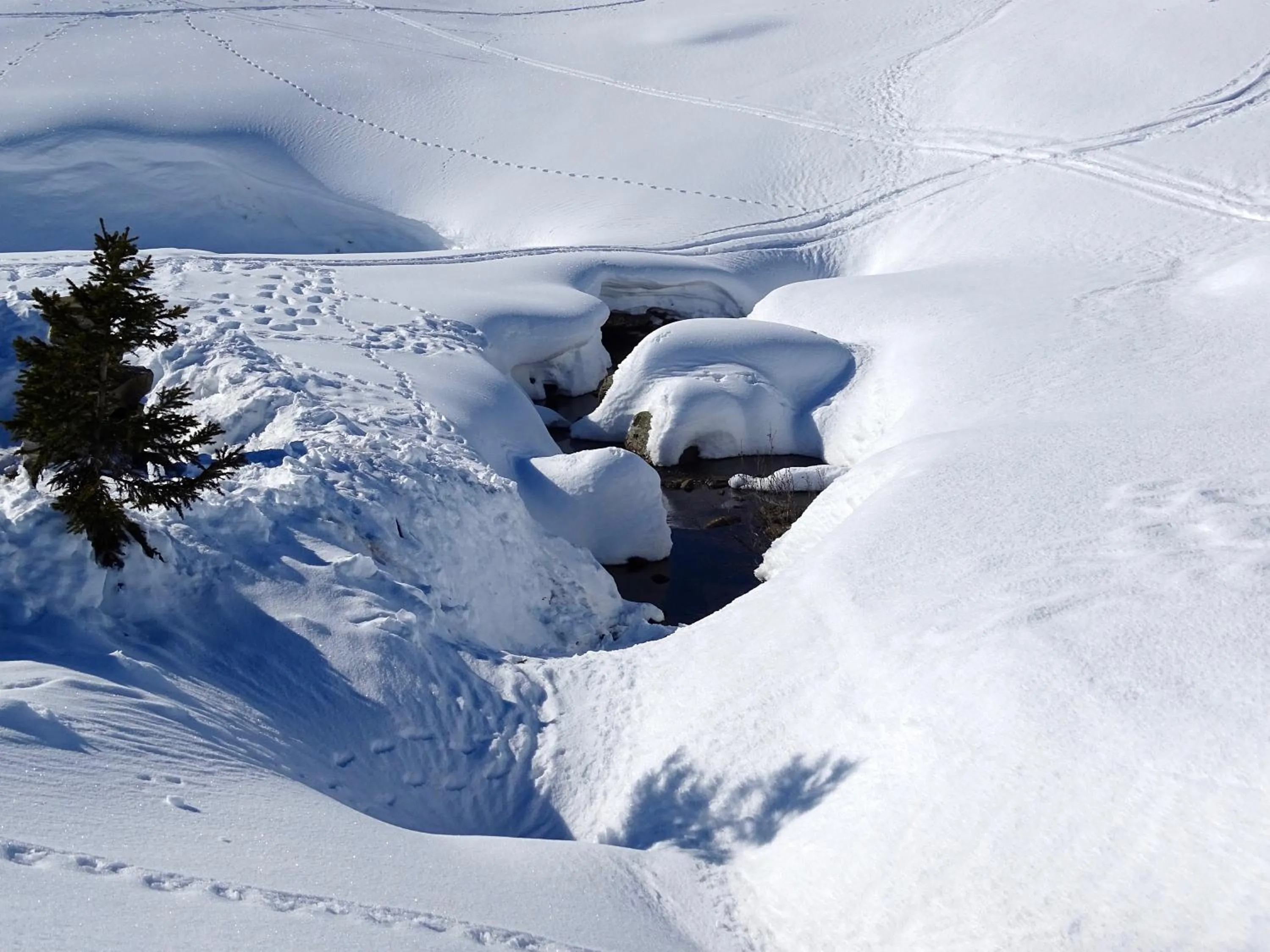 Activities in Hotel Gretina