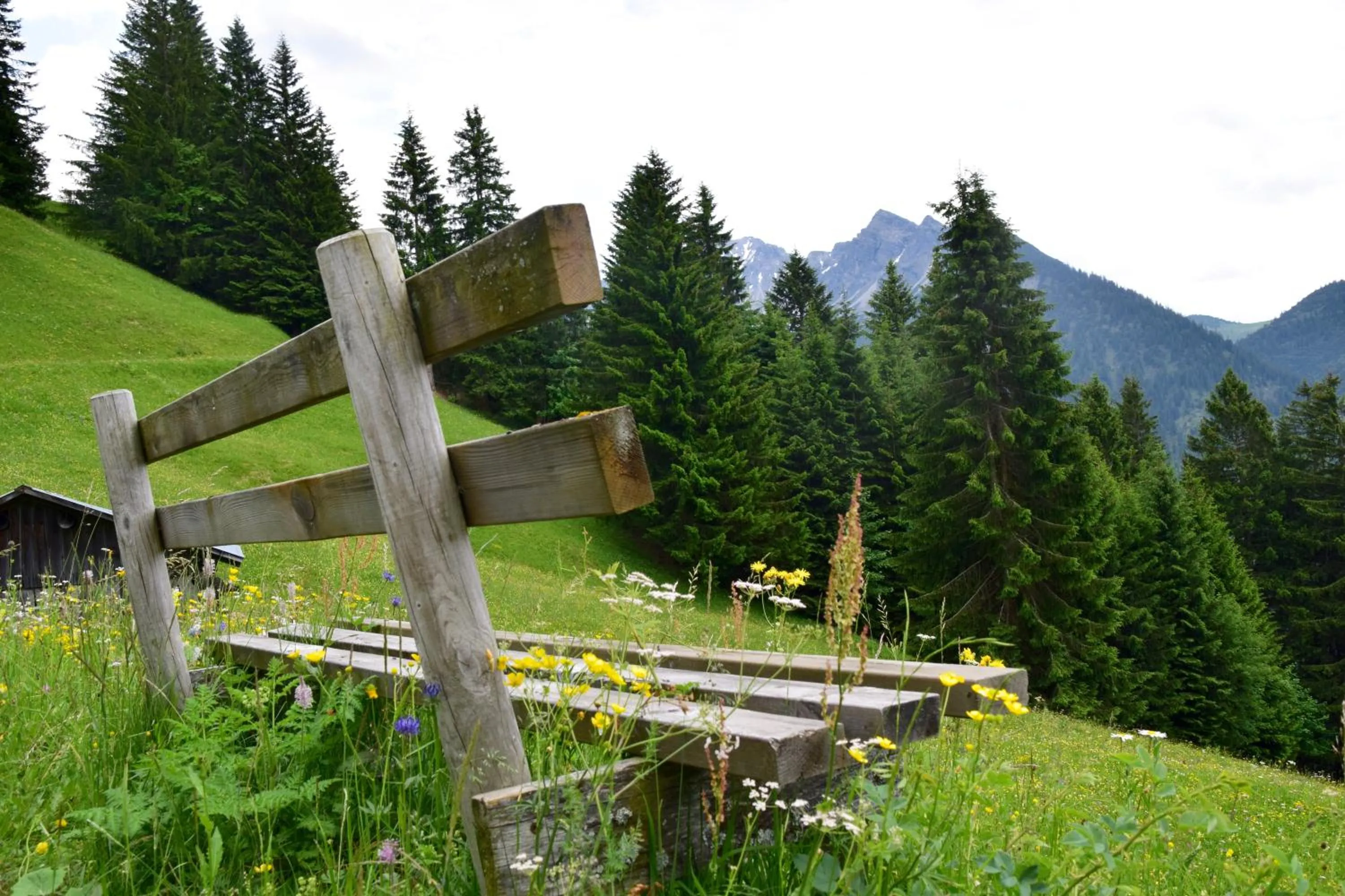 Neighbourhood in Hotel Gretina