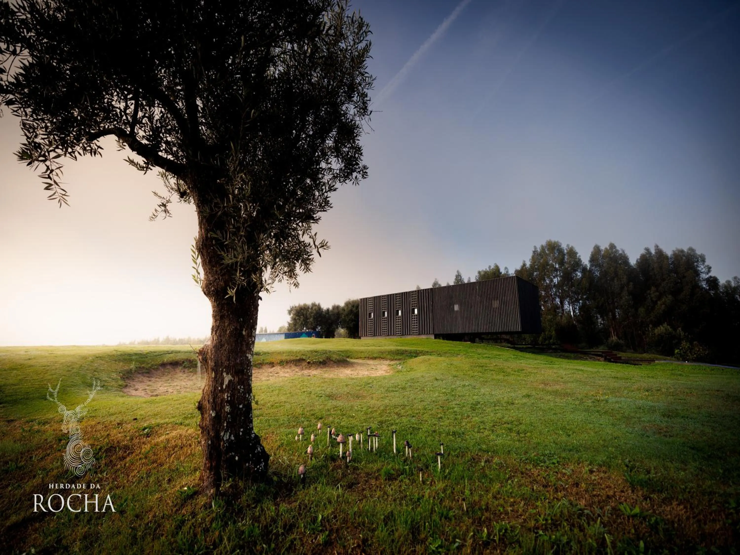Natural landscape in Herdade da Rocha - Boutique Lodge