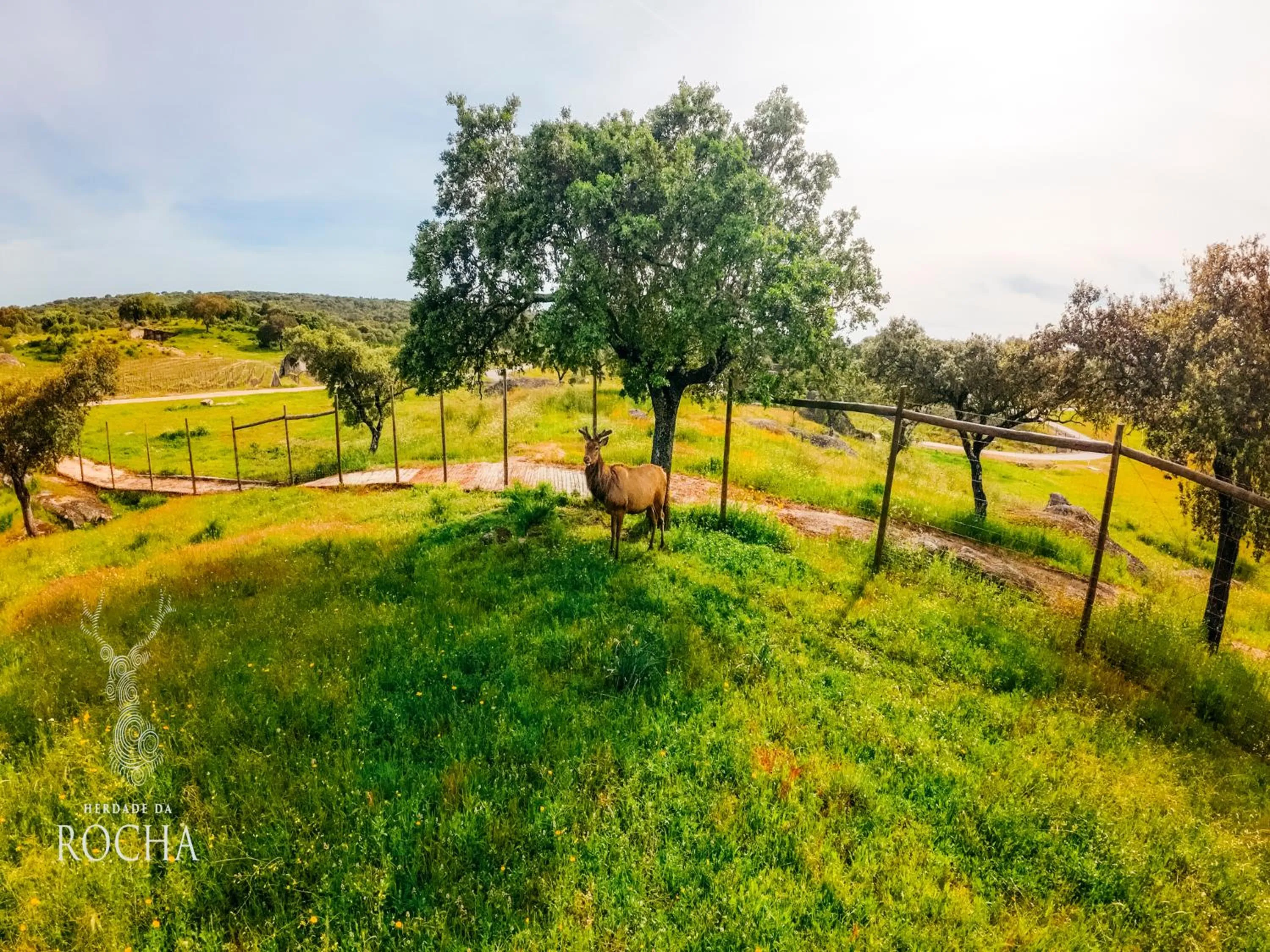 Natural landscape in Herdade da Rocha - Boutique Lodge