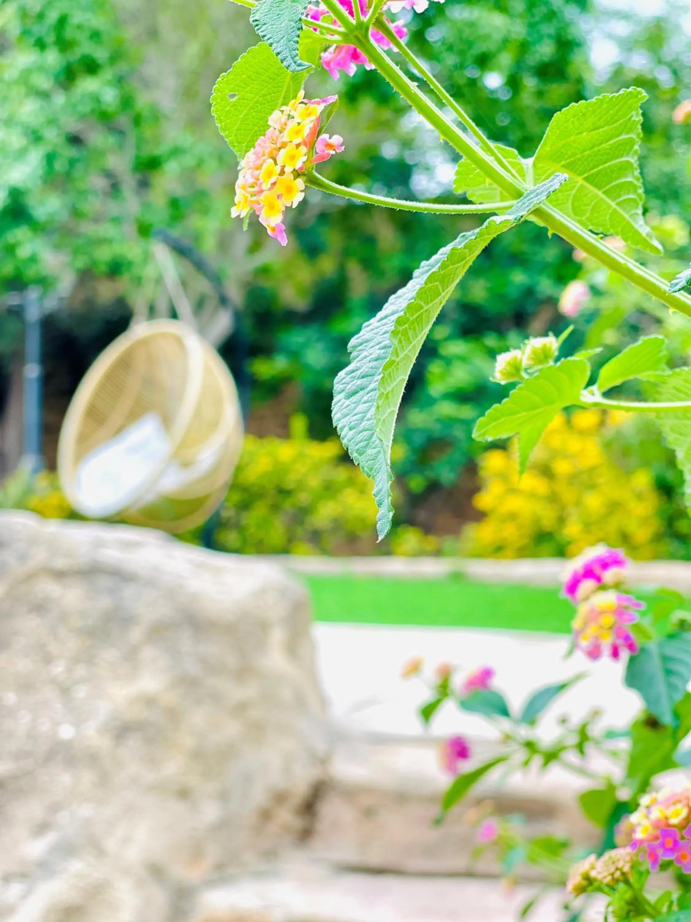 Garden view in The Red Farm Relais & Spa