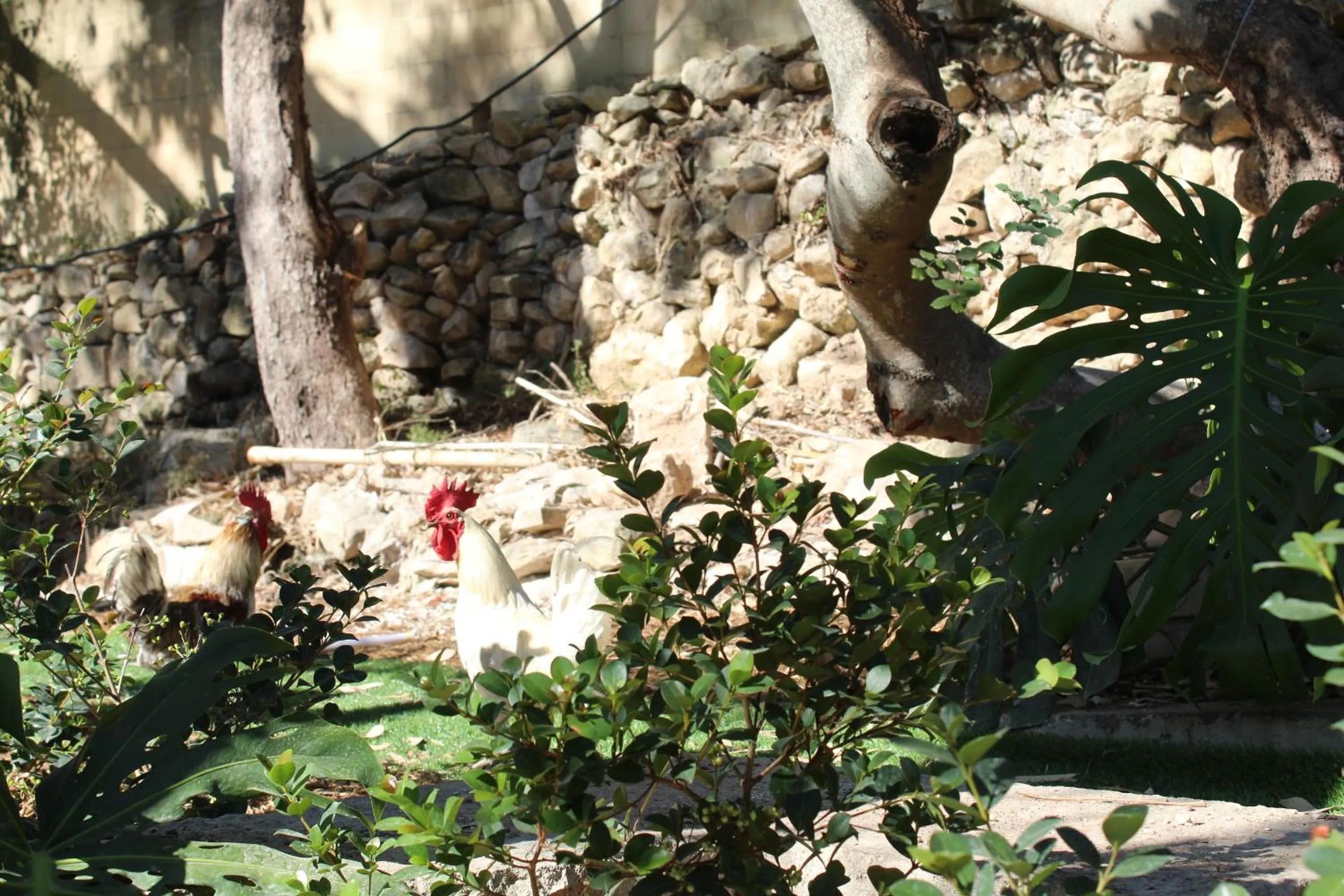 Garden in The Red Farm Relais & Spa