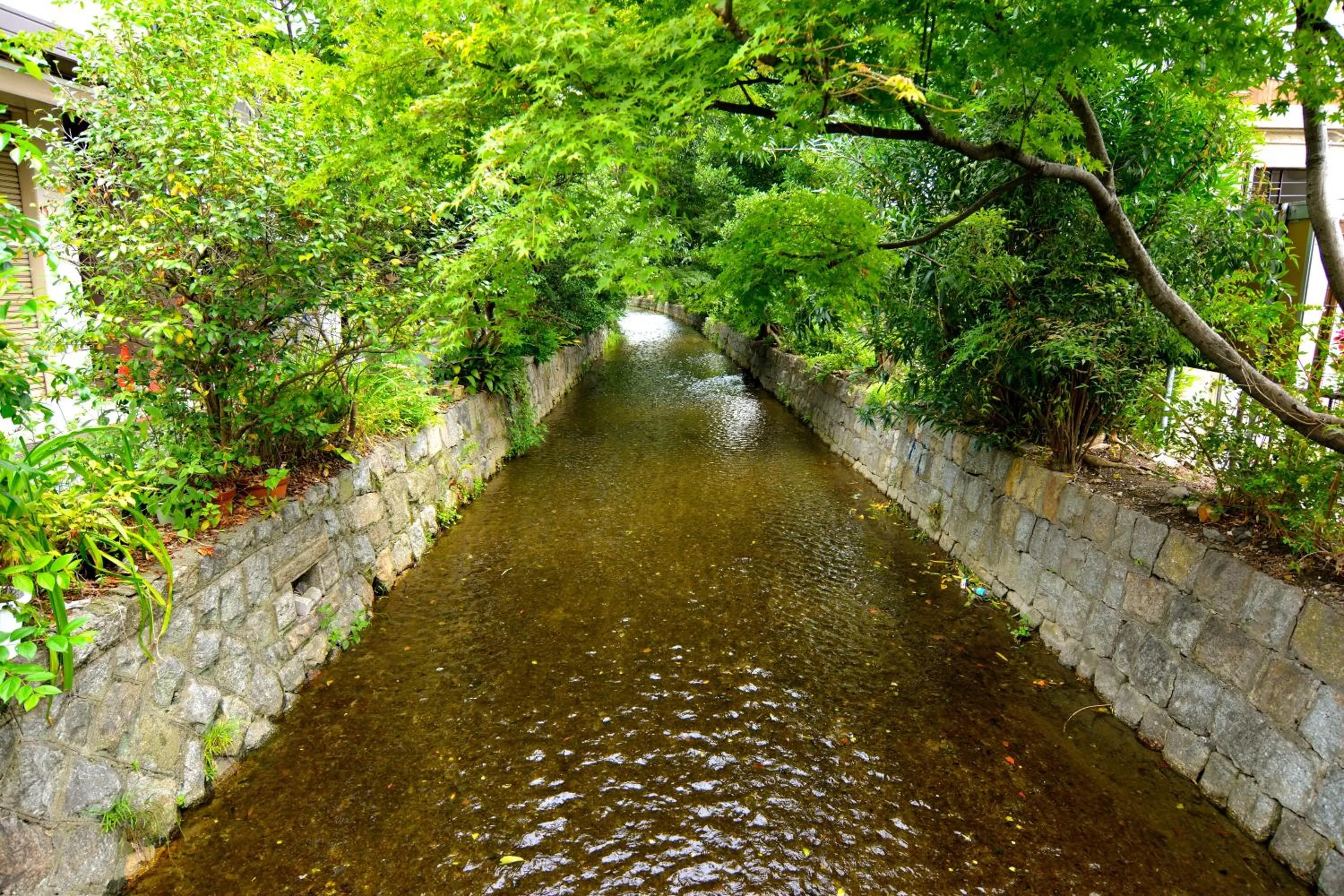 Natural landscape in K's Villa Takasegawa-tei