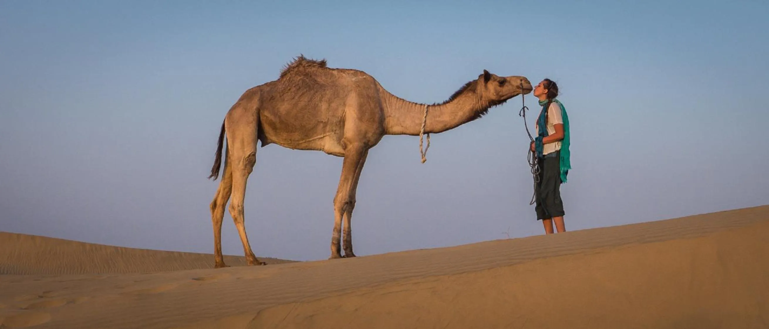 Pets in Tripli Hotels Prithvi Palace