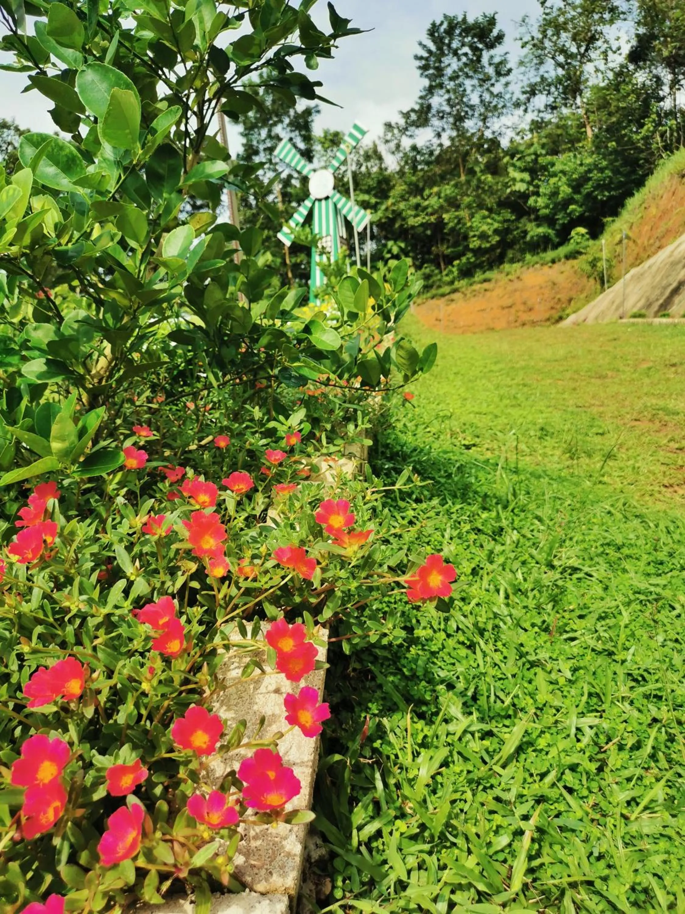 Property building in Green Peace Sungai Lembing