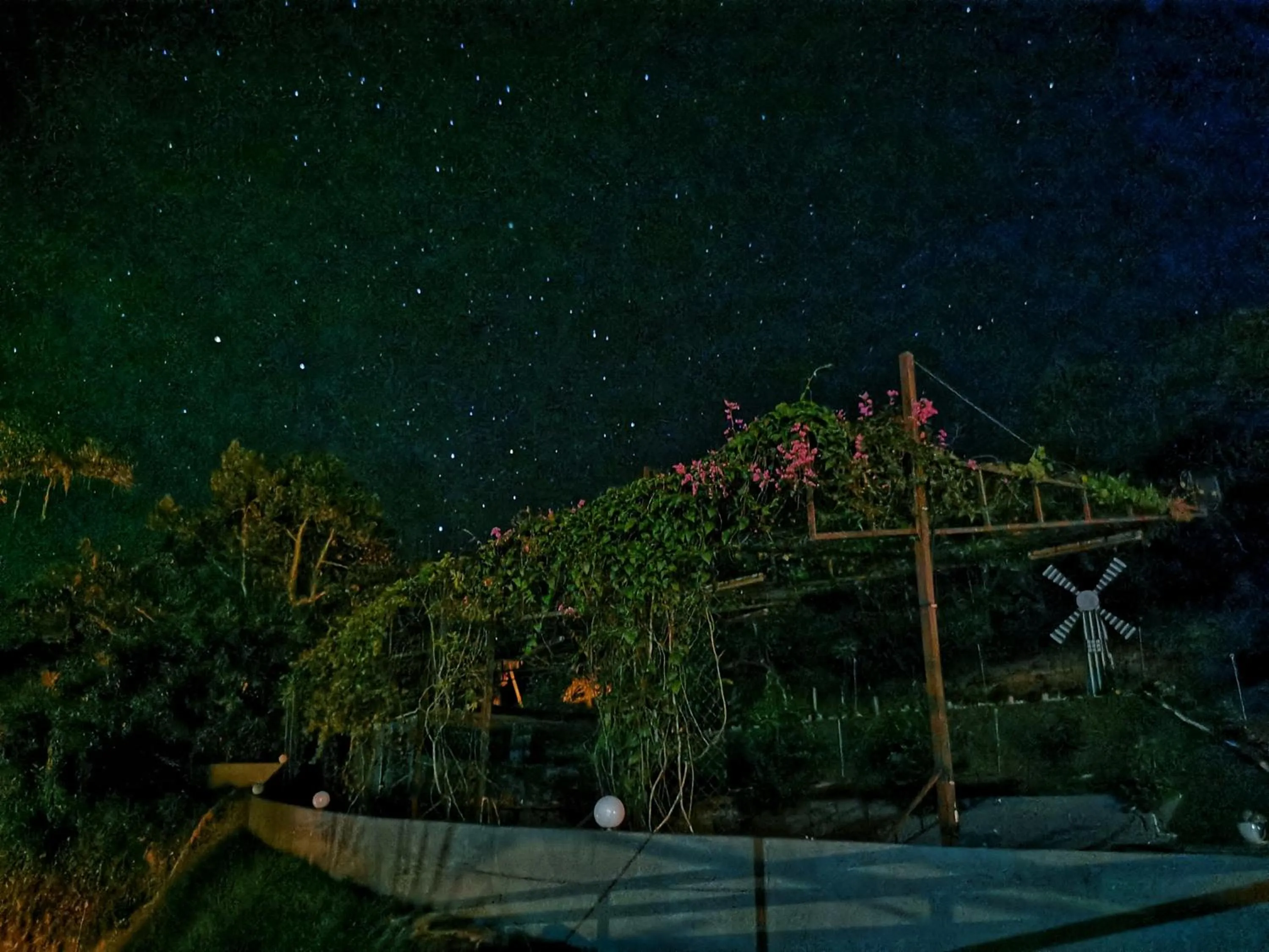 Green Peace Sungai Lembing