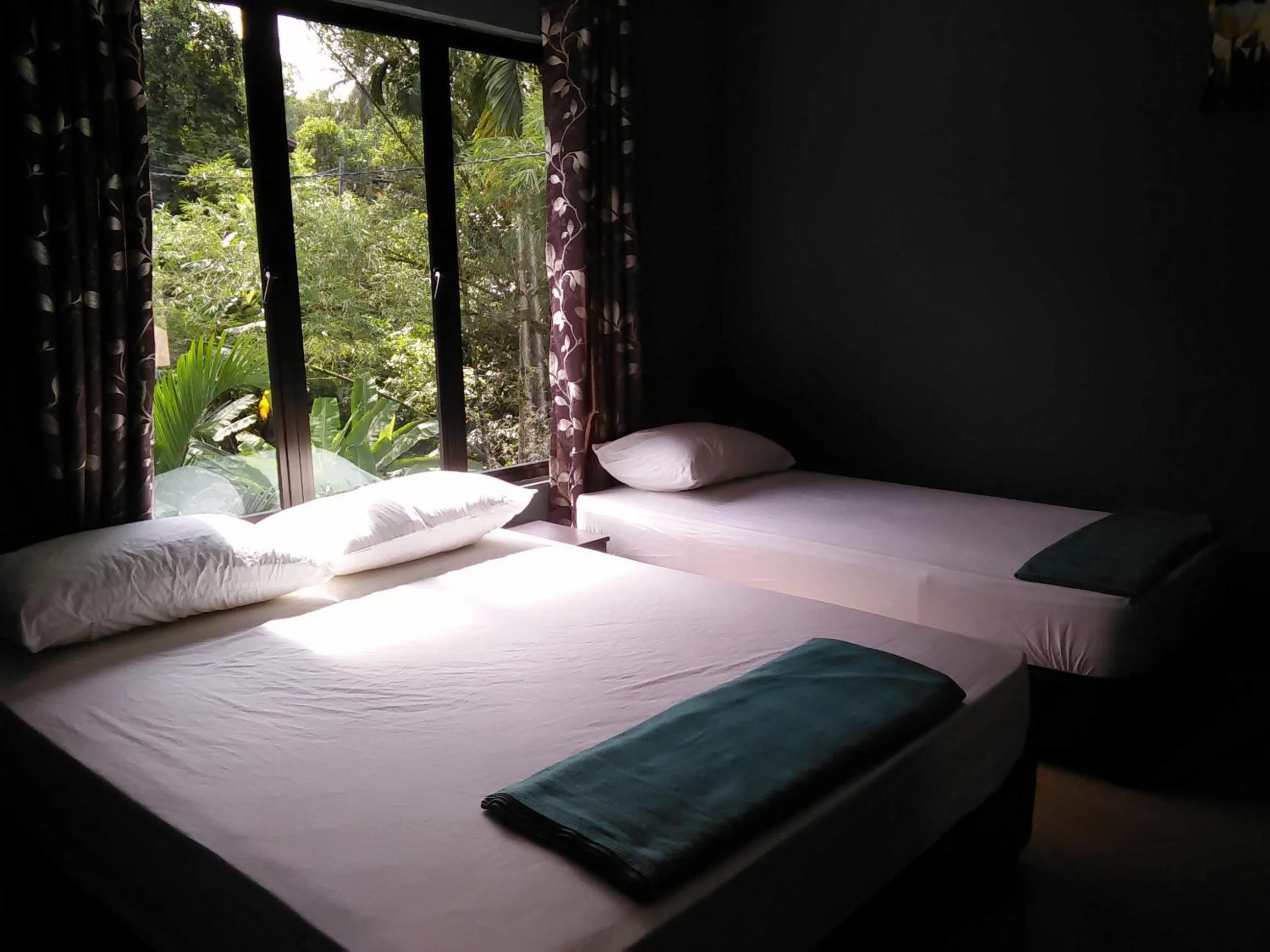 Bed in Green Peace Sungai Lembing