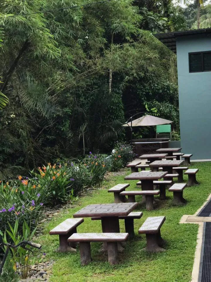 Green Peace Sungai Lembing