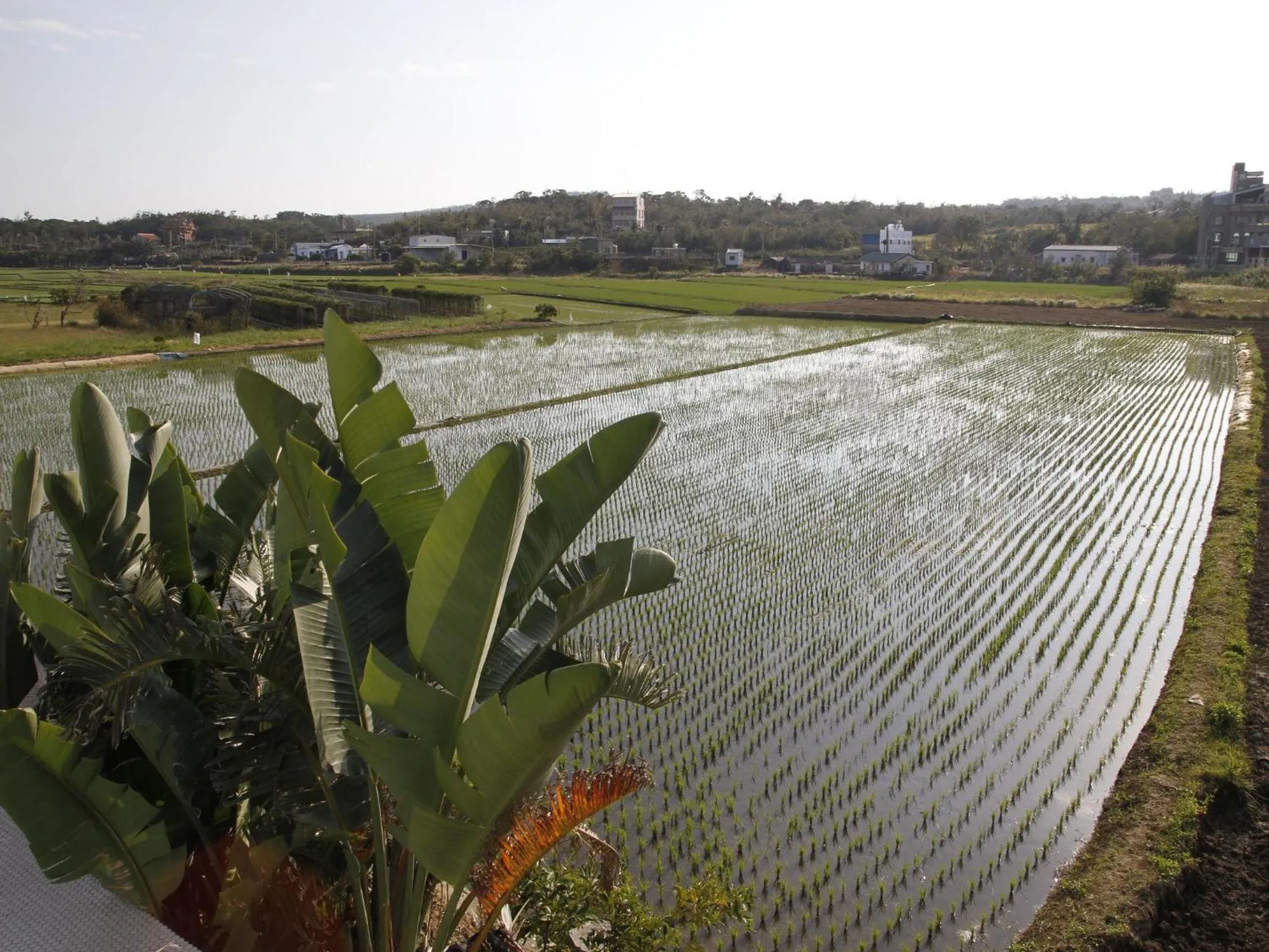 View (from property/room) in Beras Manor Kenting