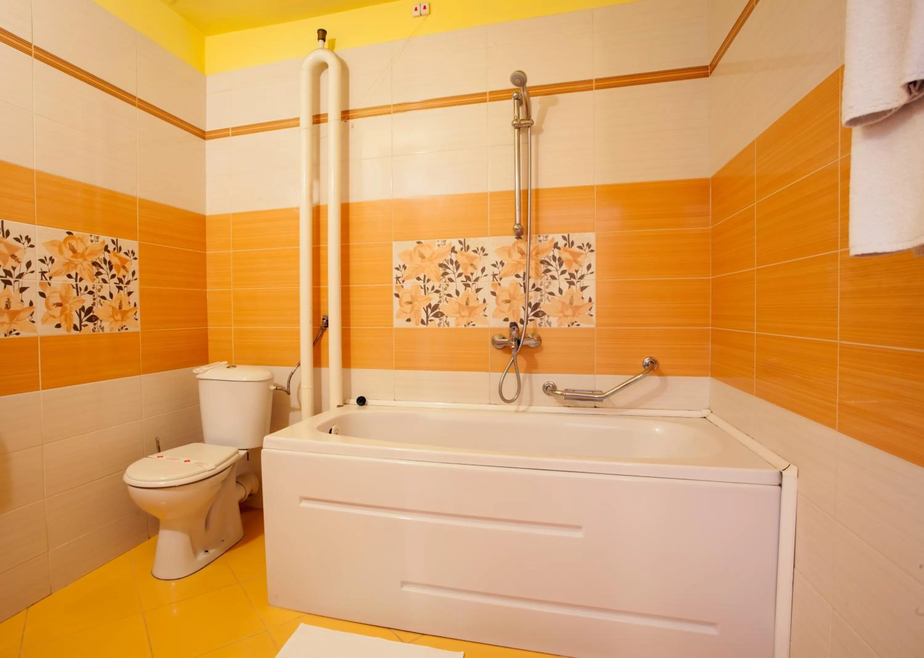 Shower in Balneo & SPA Hotel Aura