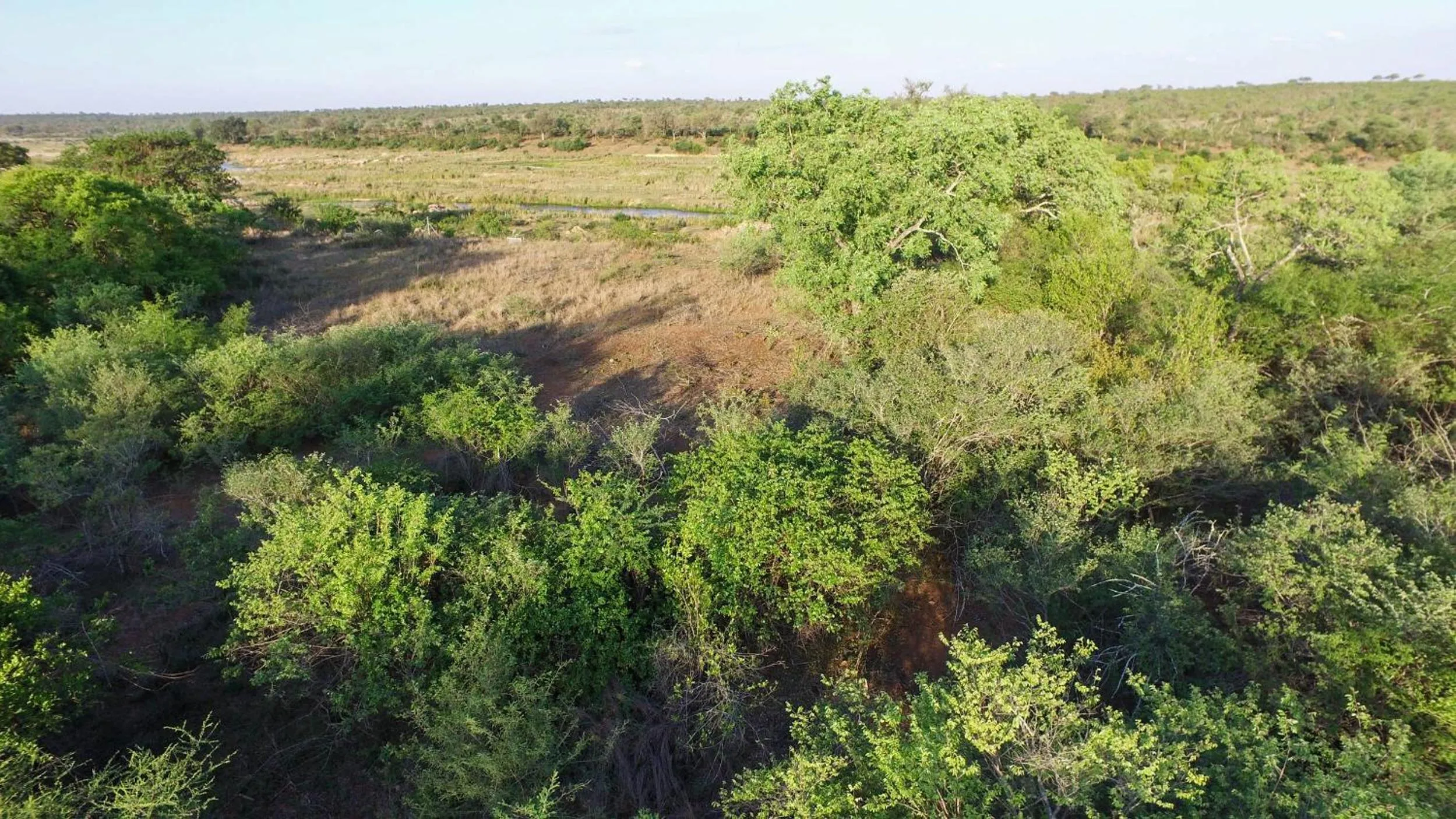 Natural landscape in Kruger Riverside Lodge - No Load-shedding