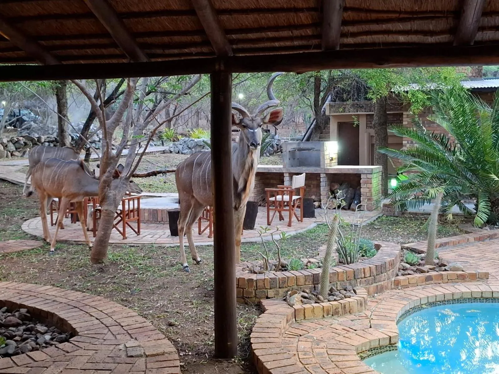 Kruger Riverside Lodge - No Load-shedding