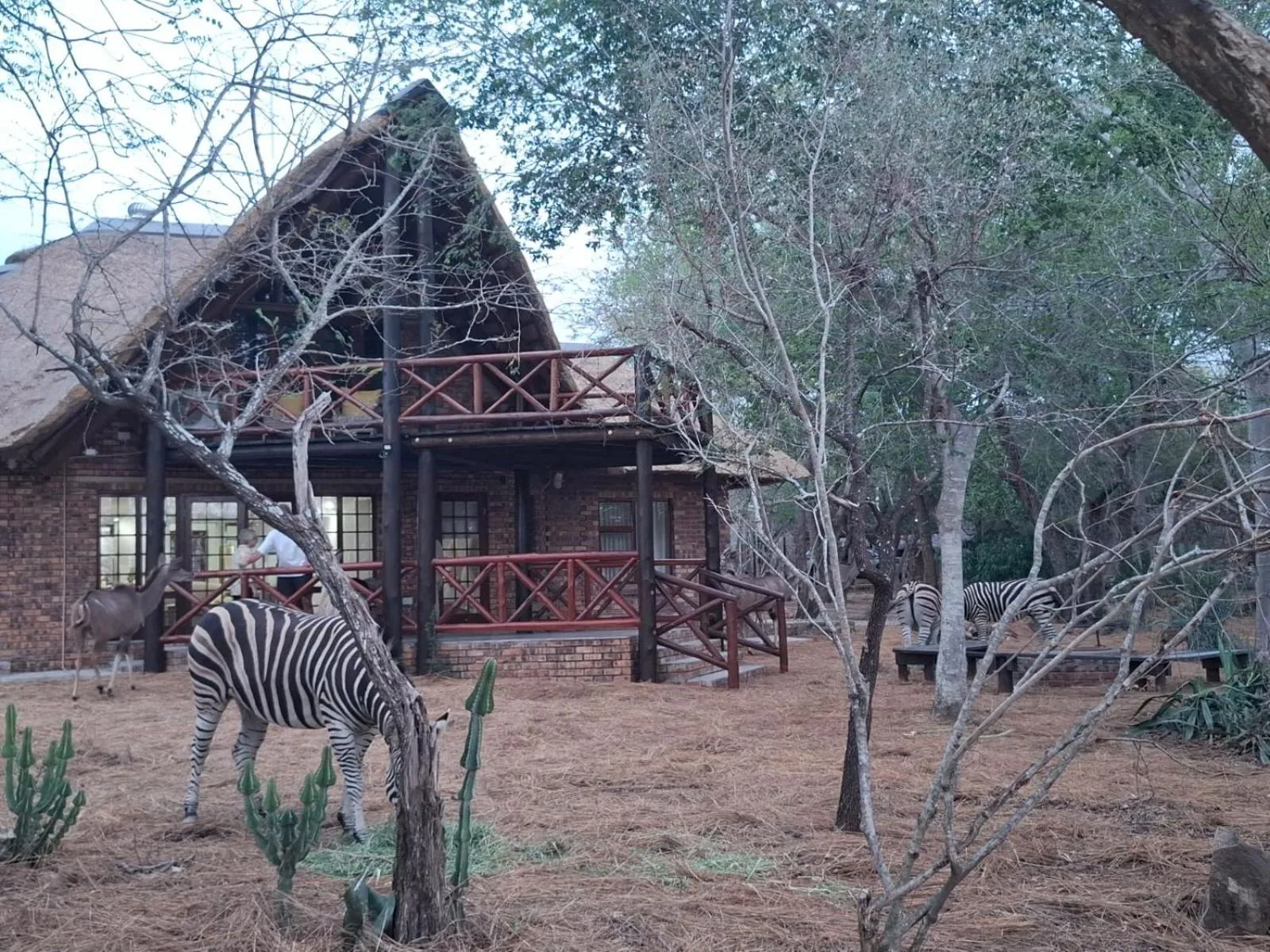 Kruger Riverside Lodge - No Load-shedding