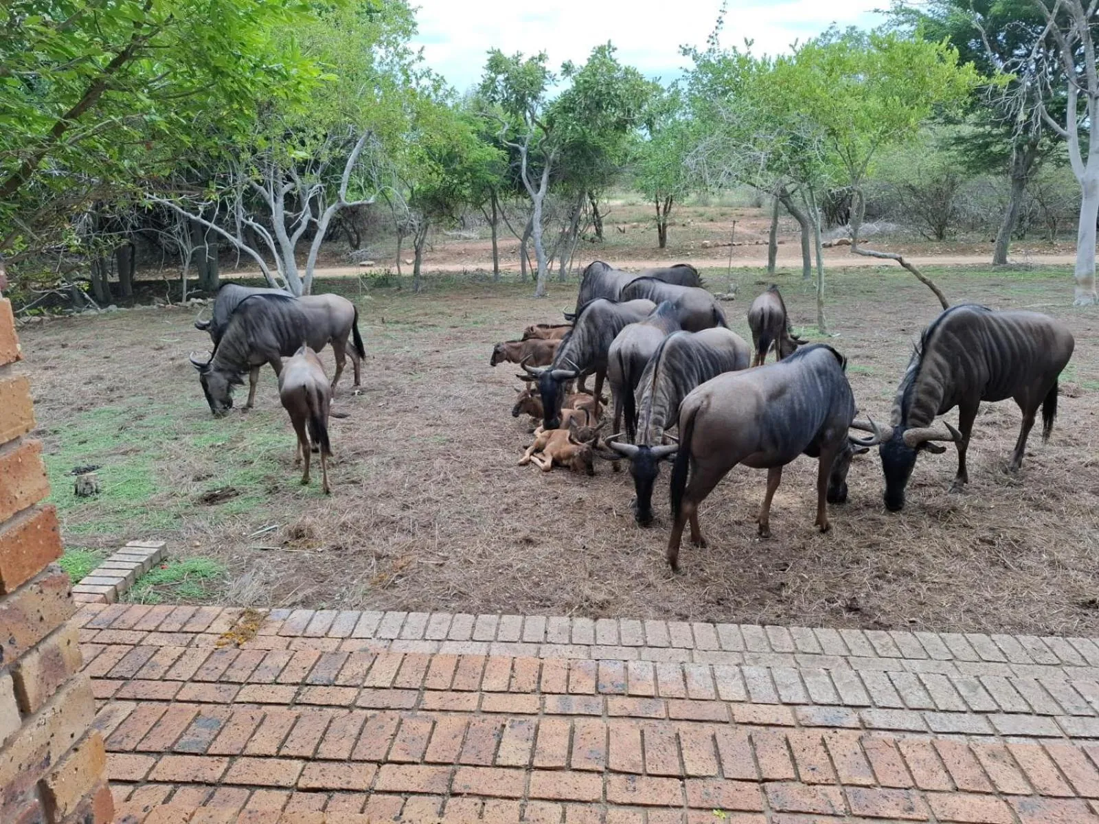 Kruger Riverside Lodge - No Load-shedding