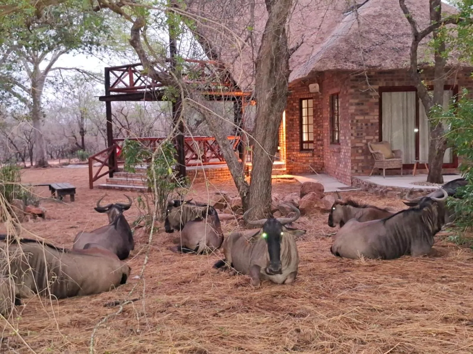 Kruger Riverside Lodge - No Load-shedding