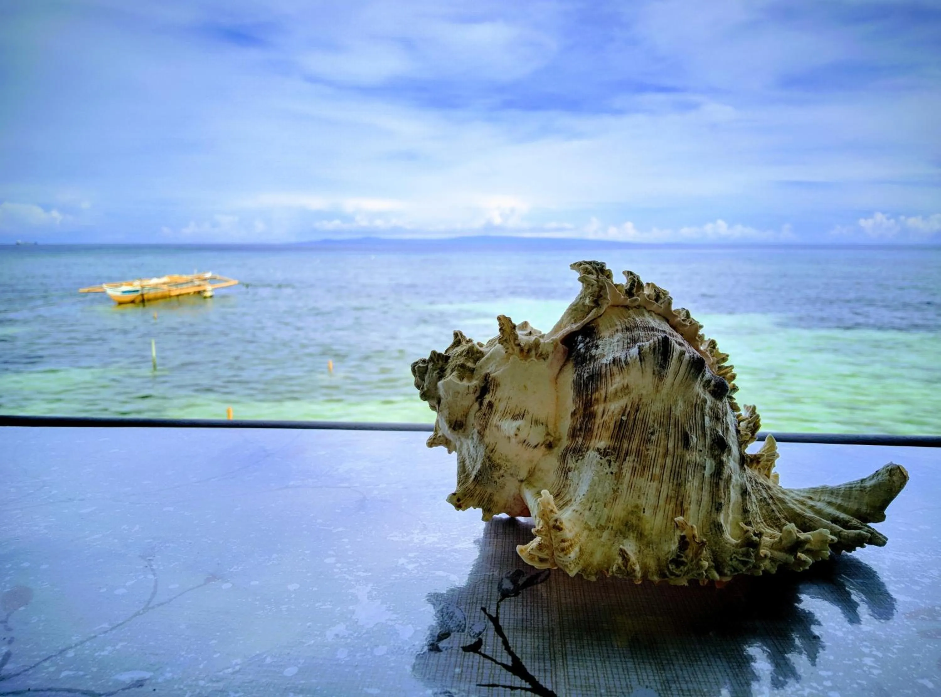 Ocean View Lodging House