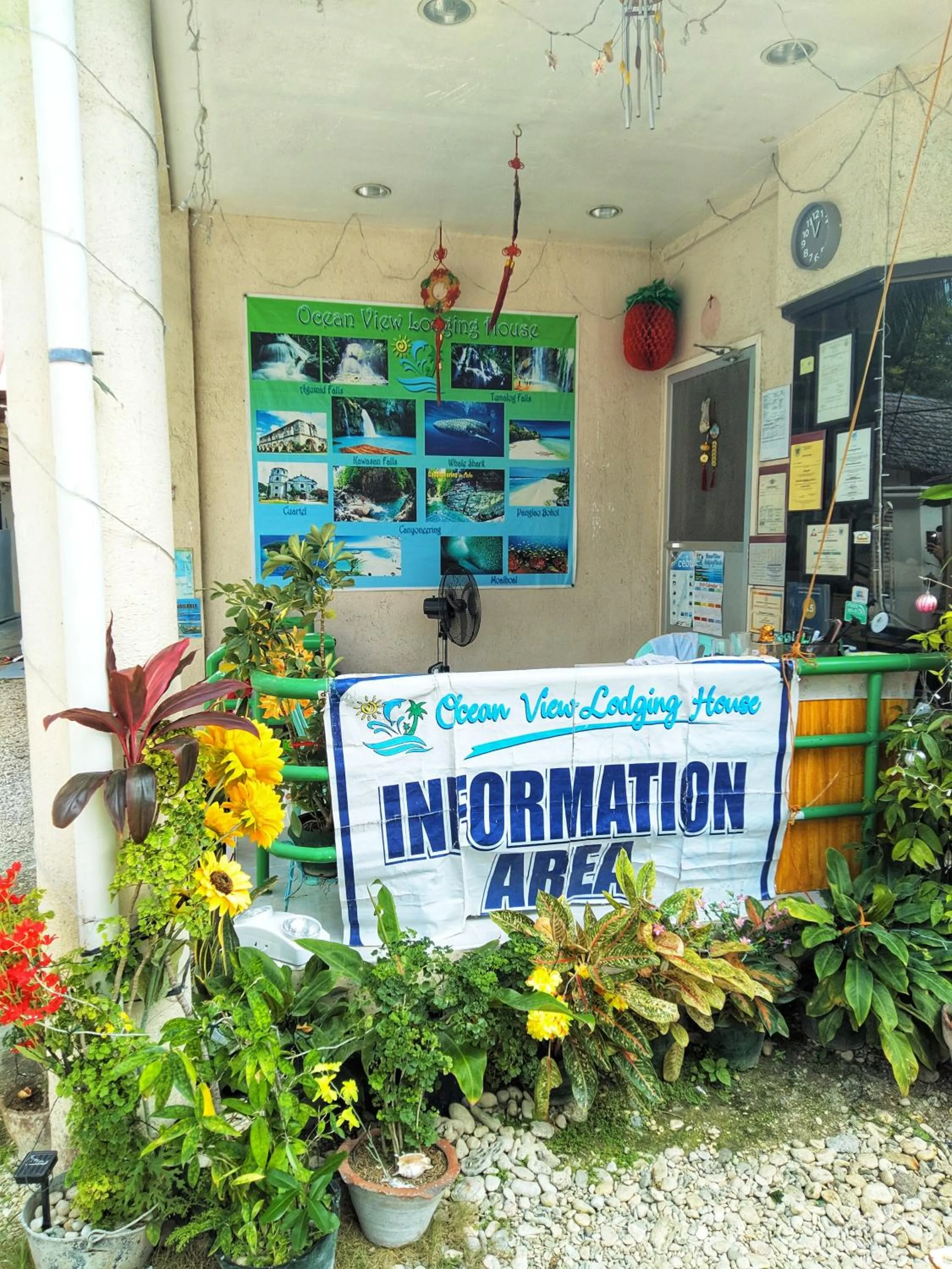 Property building in Ocean View Lodging House