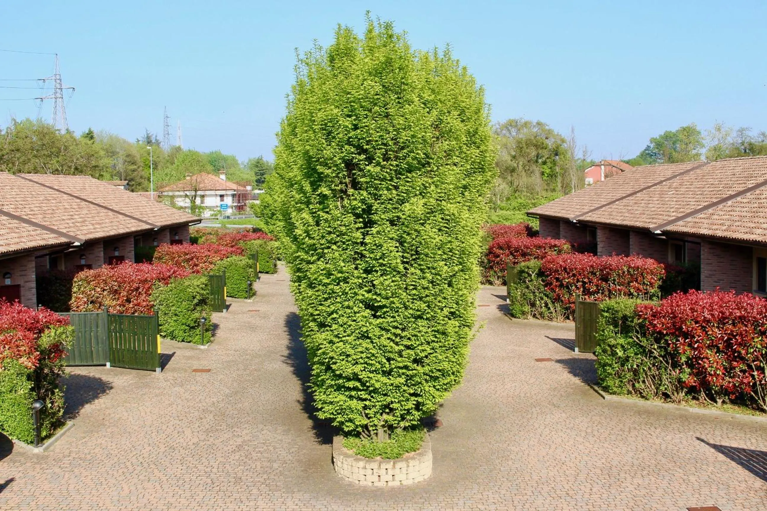 Garden in Hotel Air Bag