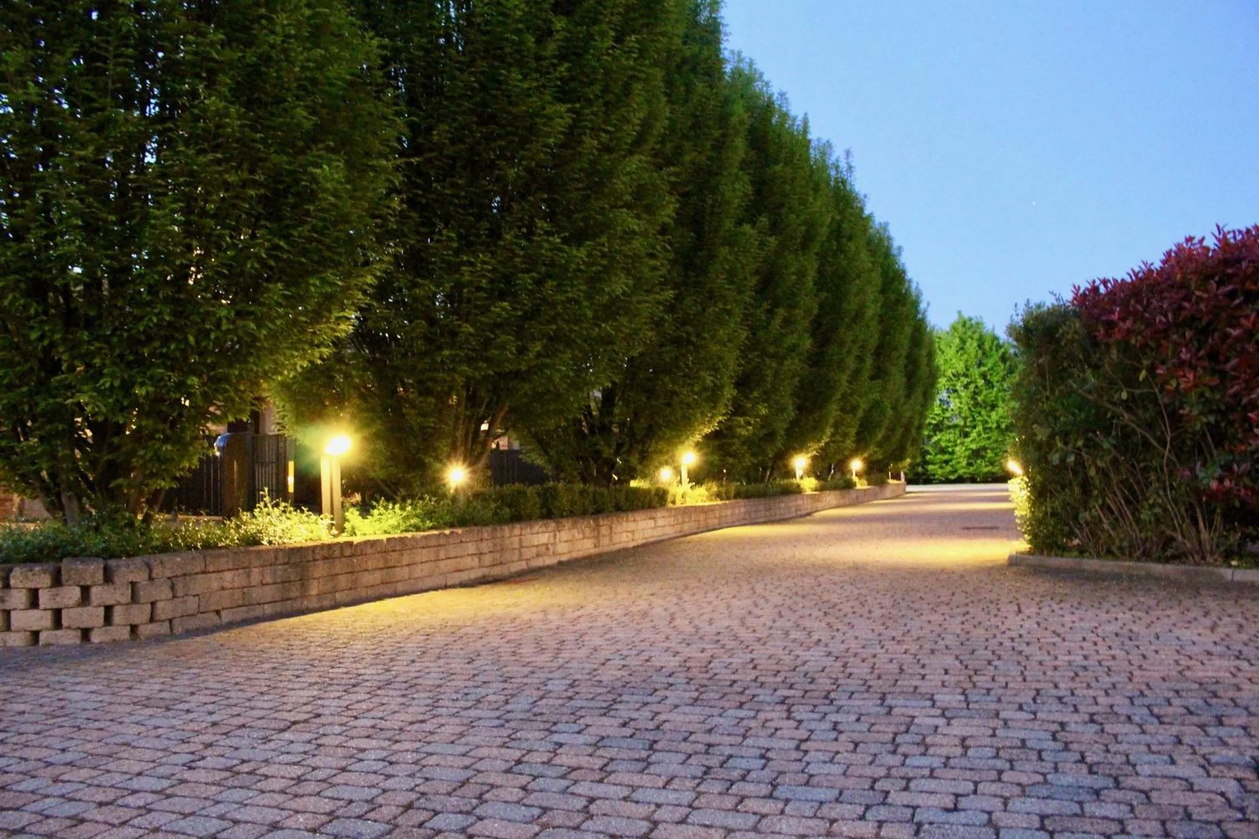 Garden in Hotel Air Bag